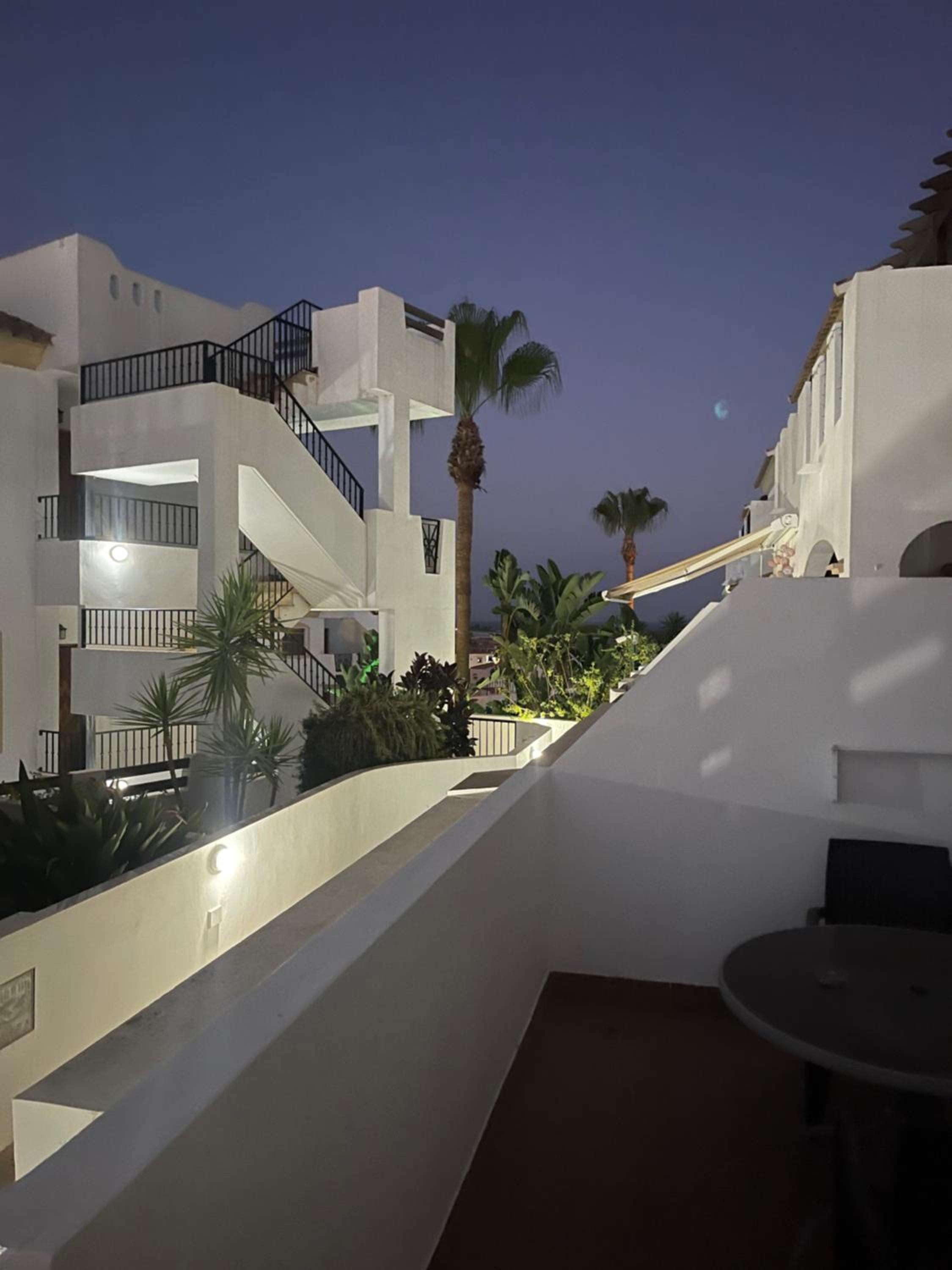 Casa Palmera