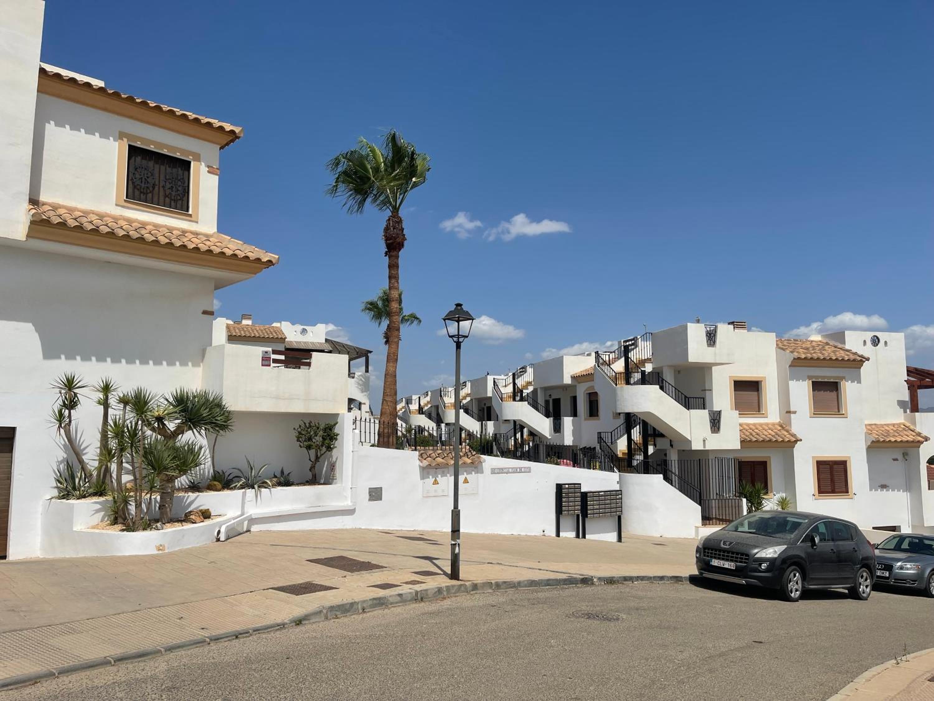 Casa Palmera