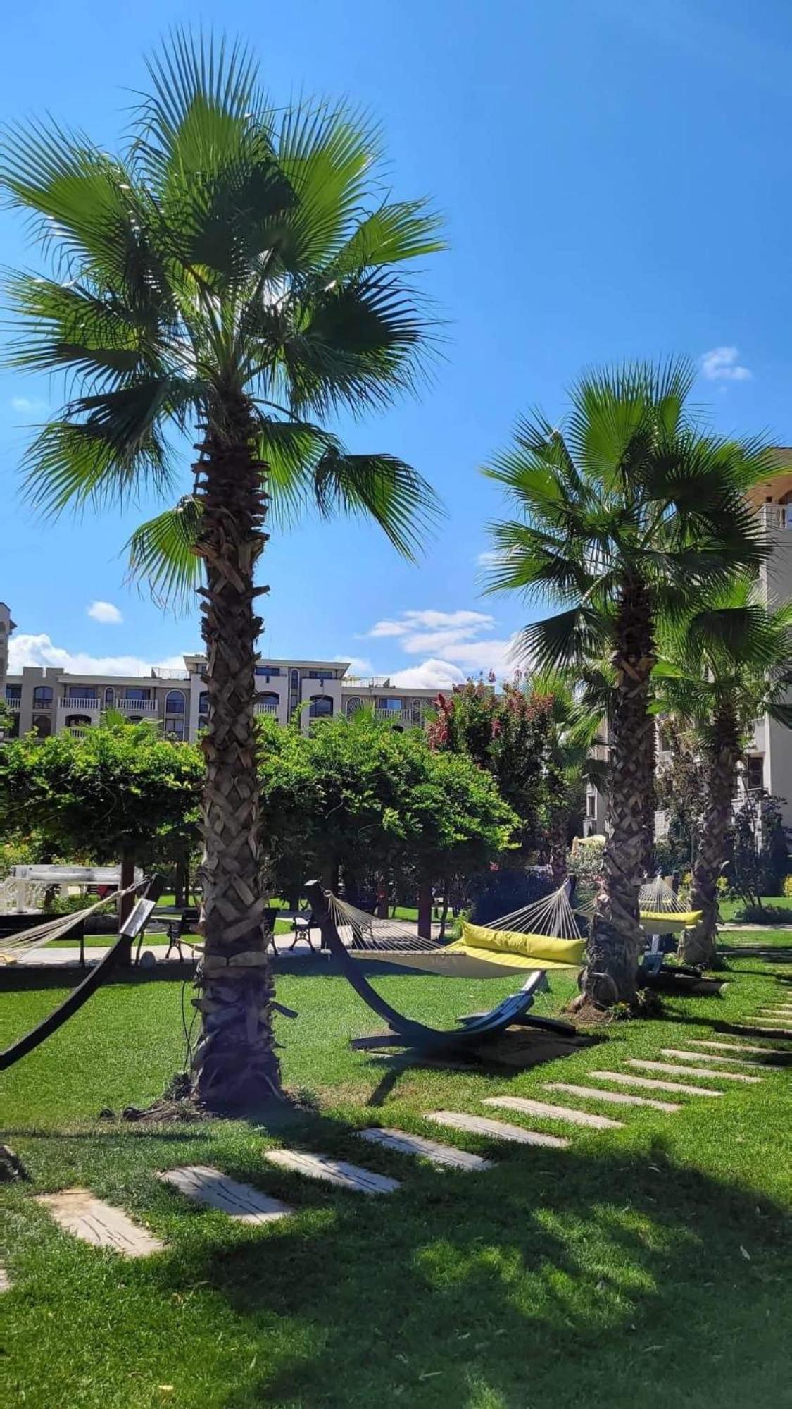 Deluxe Appartement in Cascadas Resort Sunny Beach