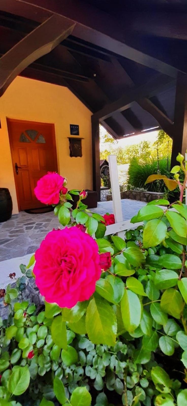 Photo 24