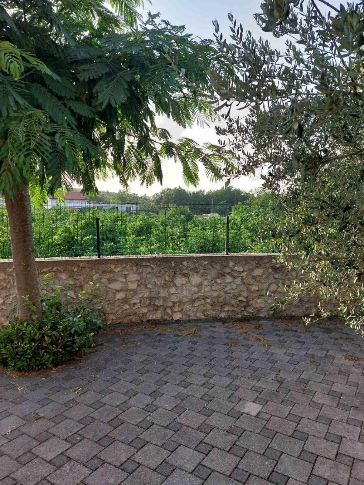 Apartmani Neda