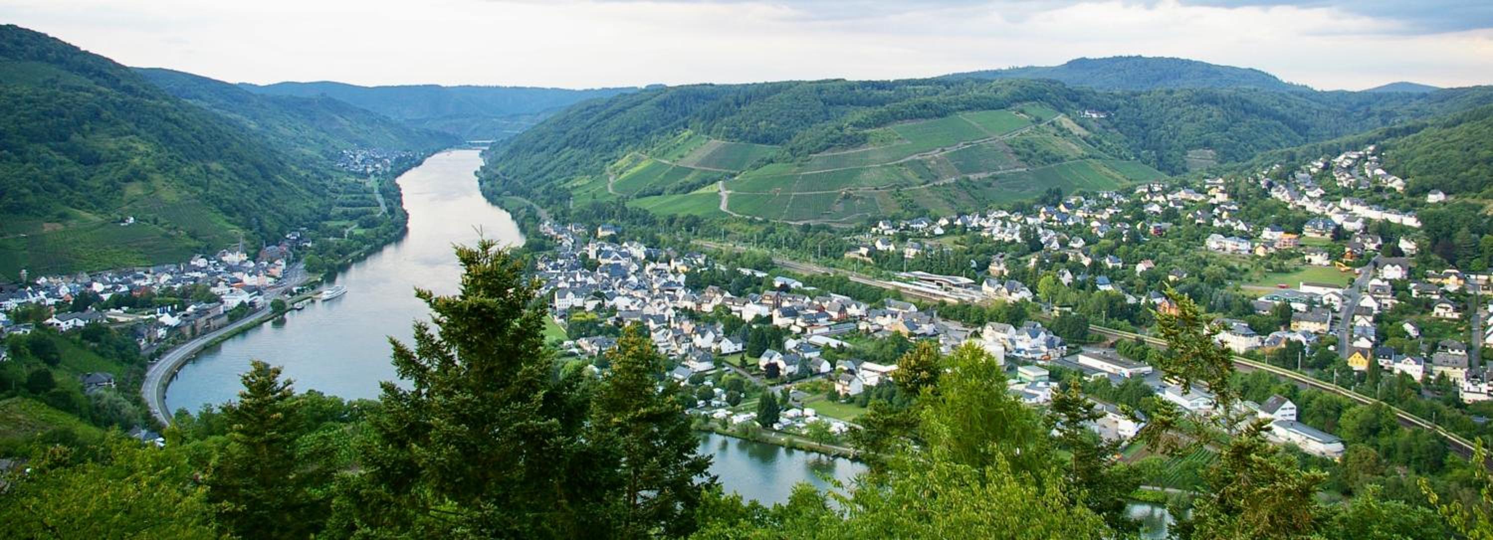 Komfortferienwohnung mit traumhaftem Moselblick