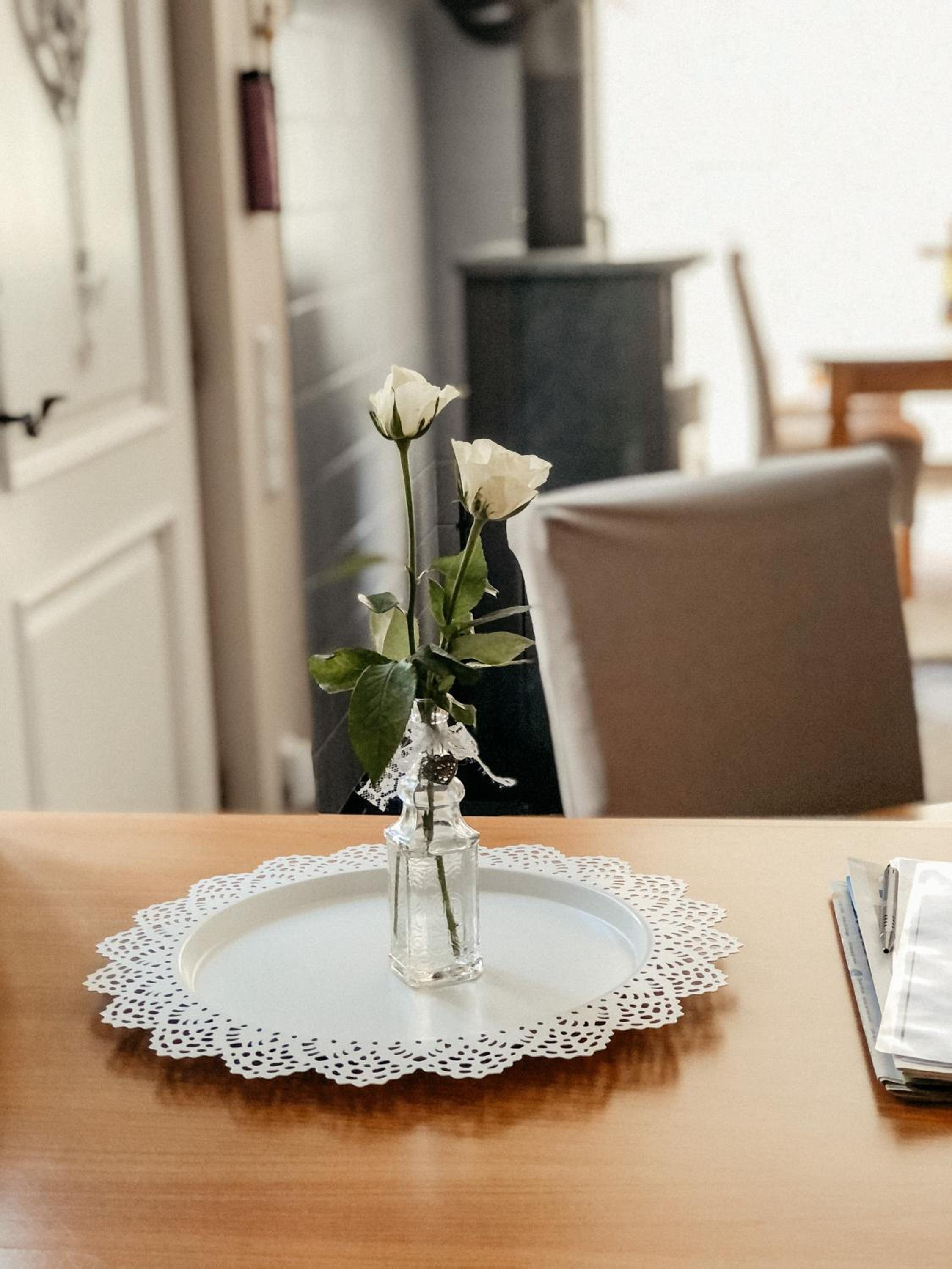 Komfortferienwohnung mit traumhaftem Moselblick