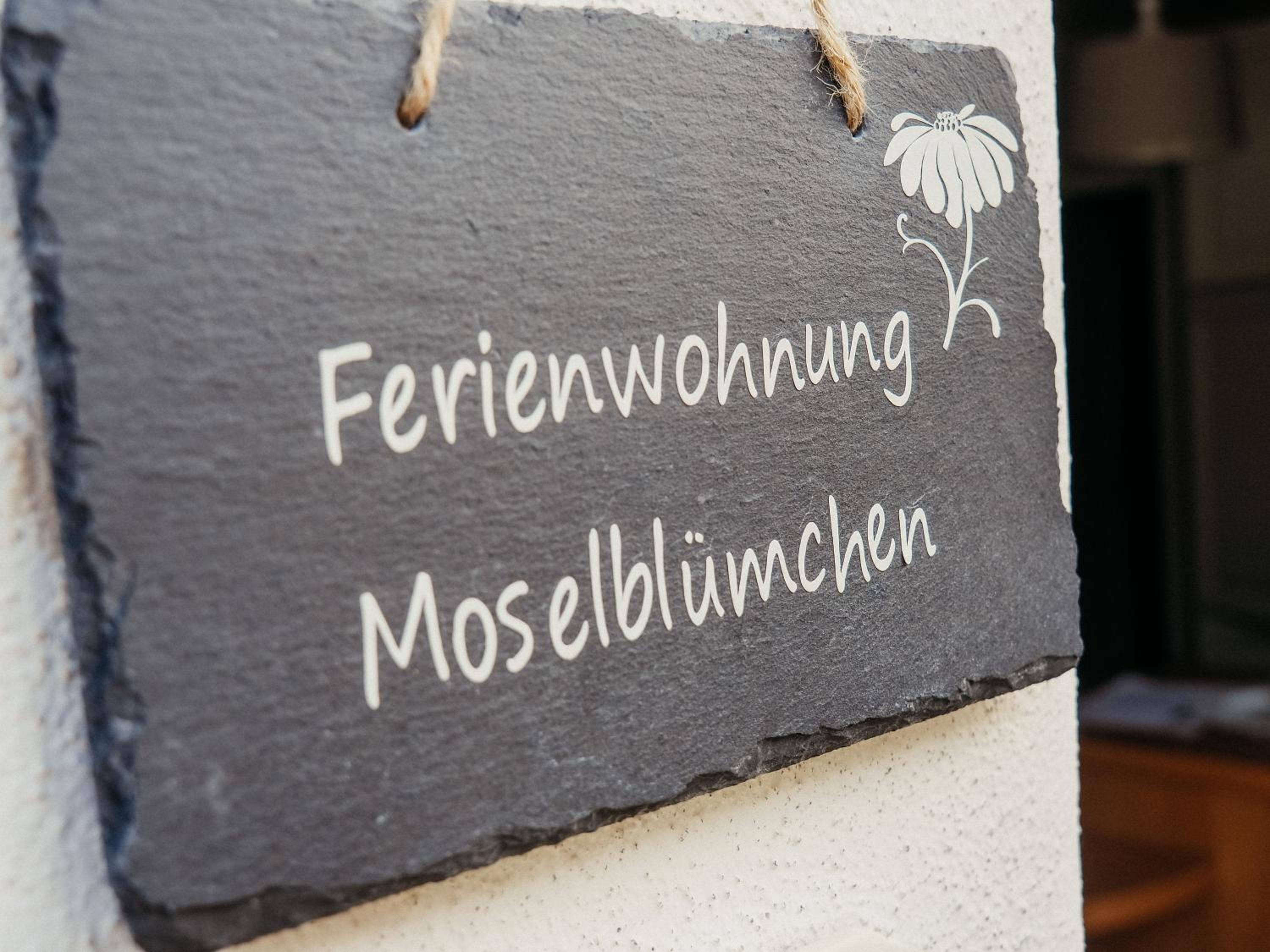 Komfortferienwohnung mit traumhaftem Moselblick