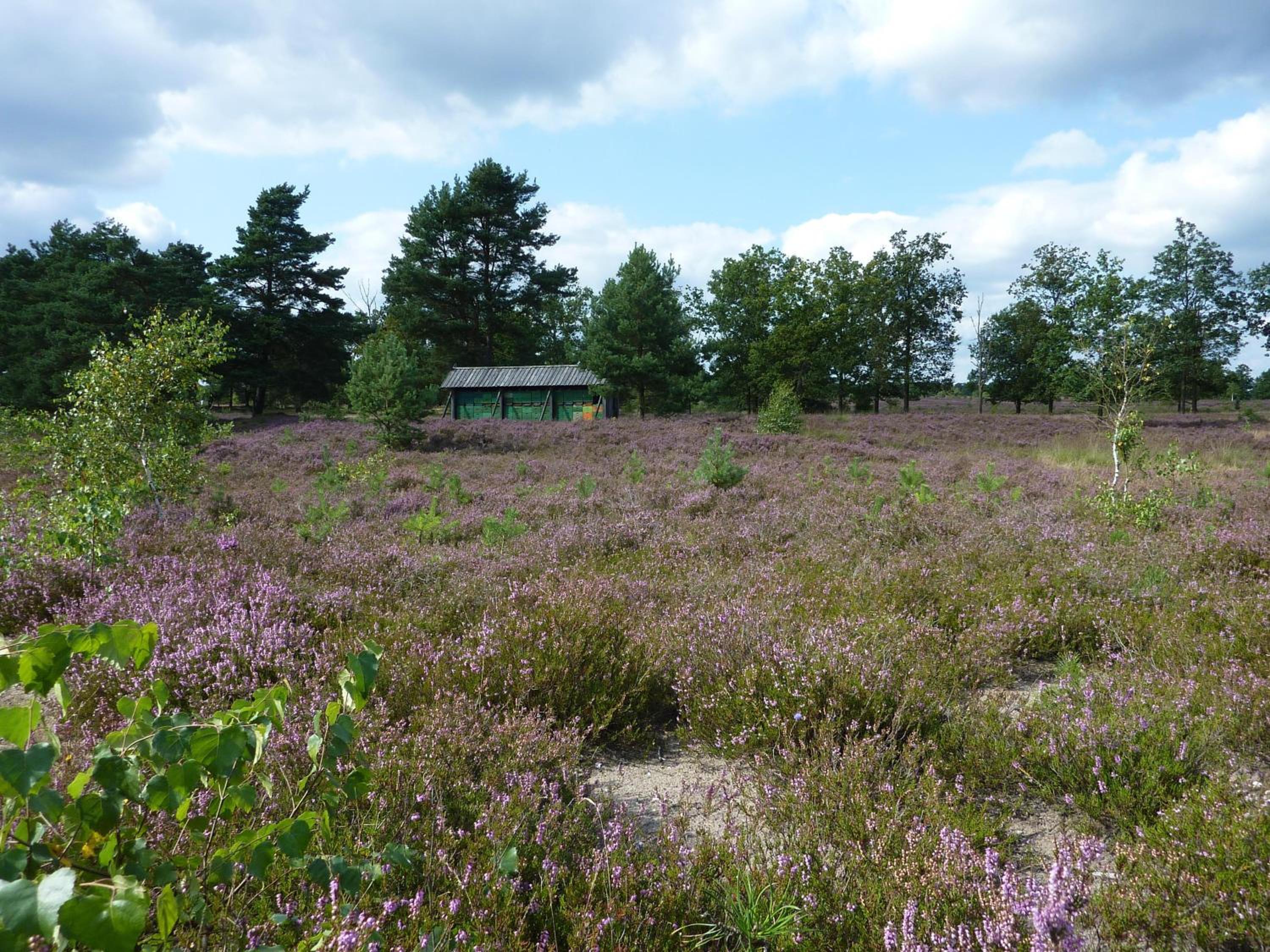 Landhaus Heide