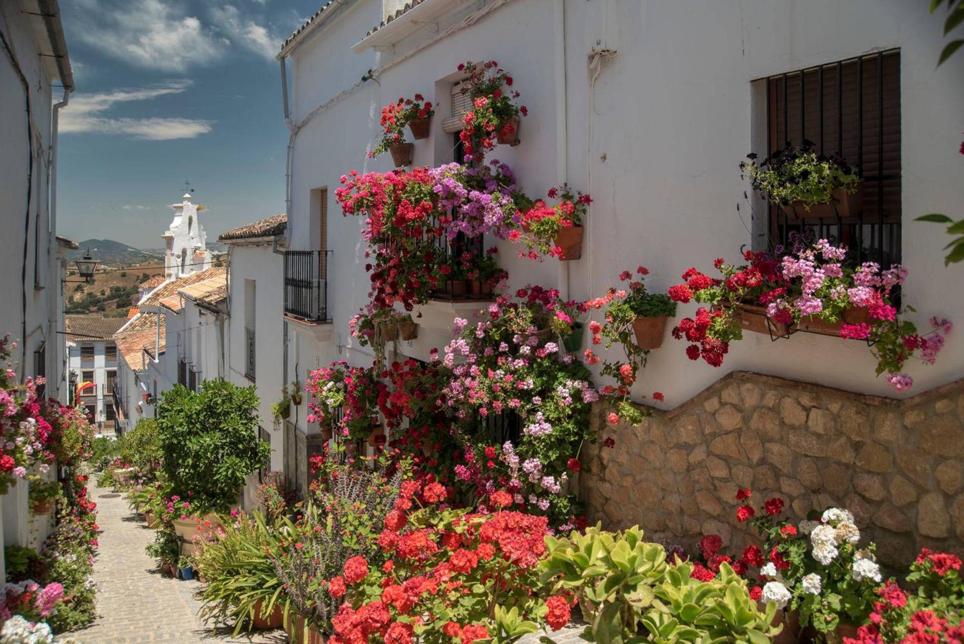 Doña Juana by Vintage Travel