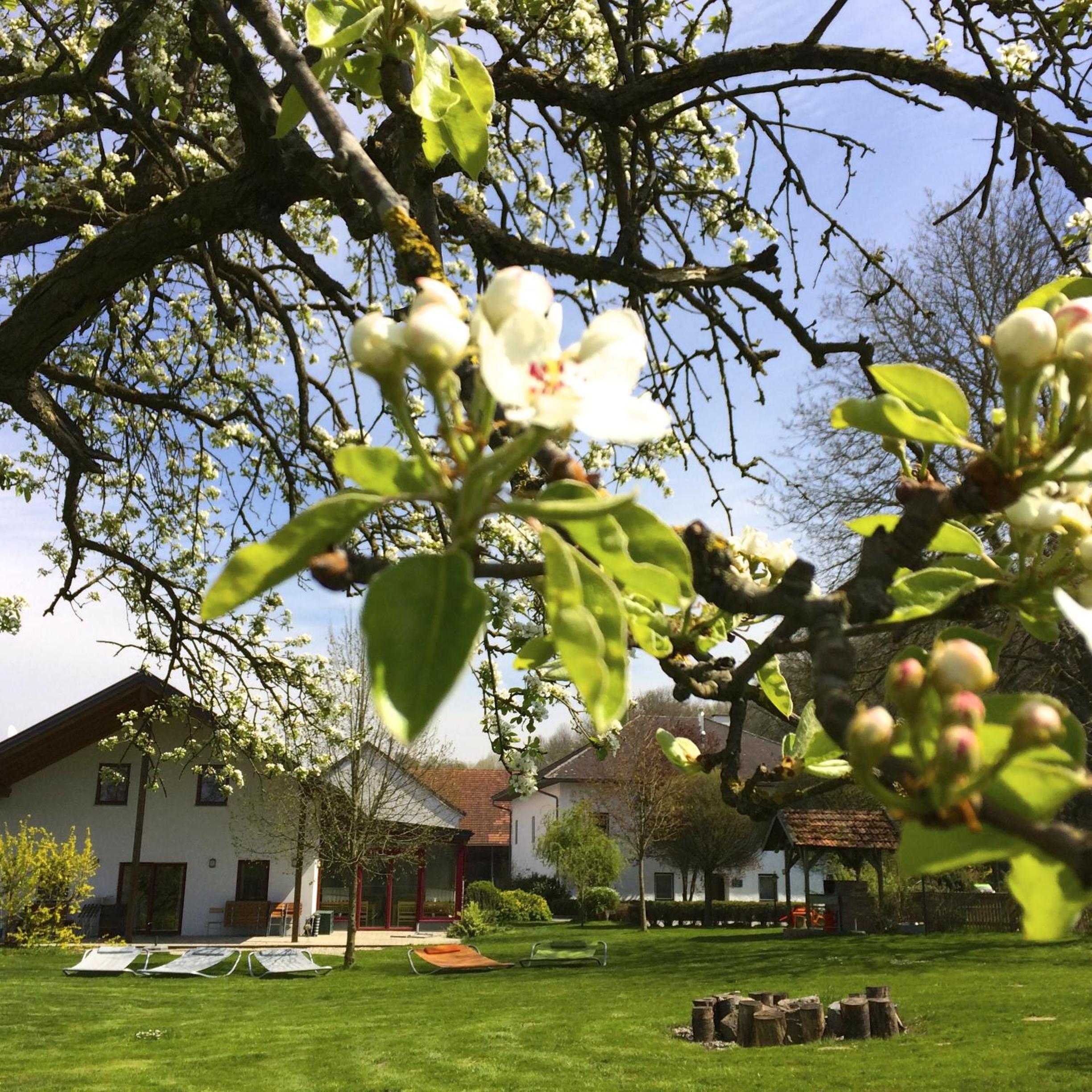 Sonnenblumenhof - Zimmer & Apartments