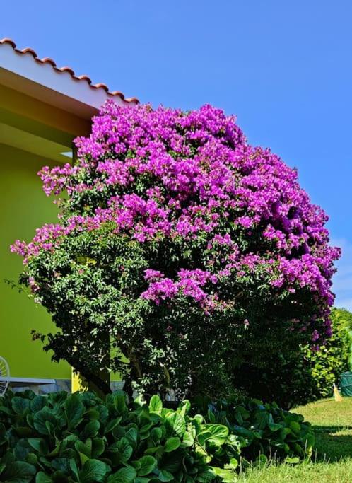 Ruxidoira, una ventana al Atlántico