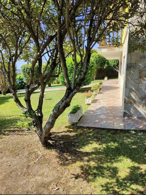 Ruxidoira, una ventana al Atlántico