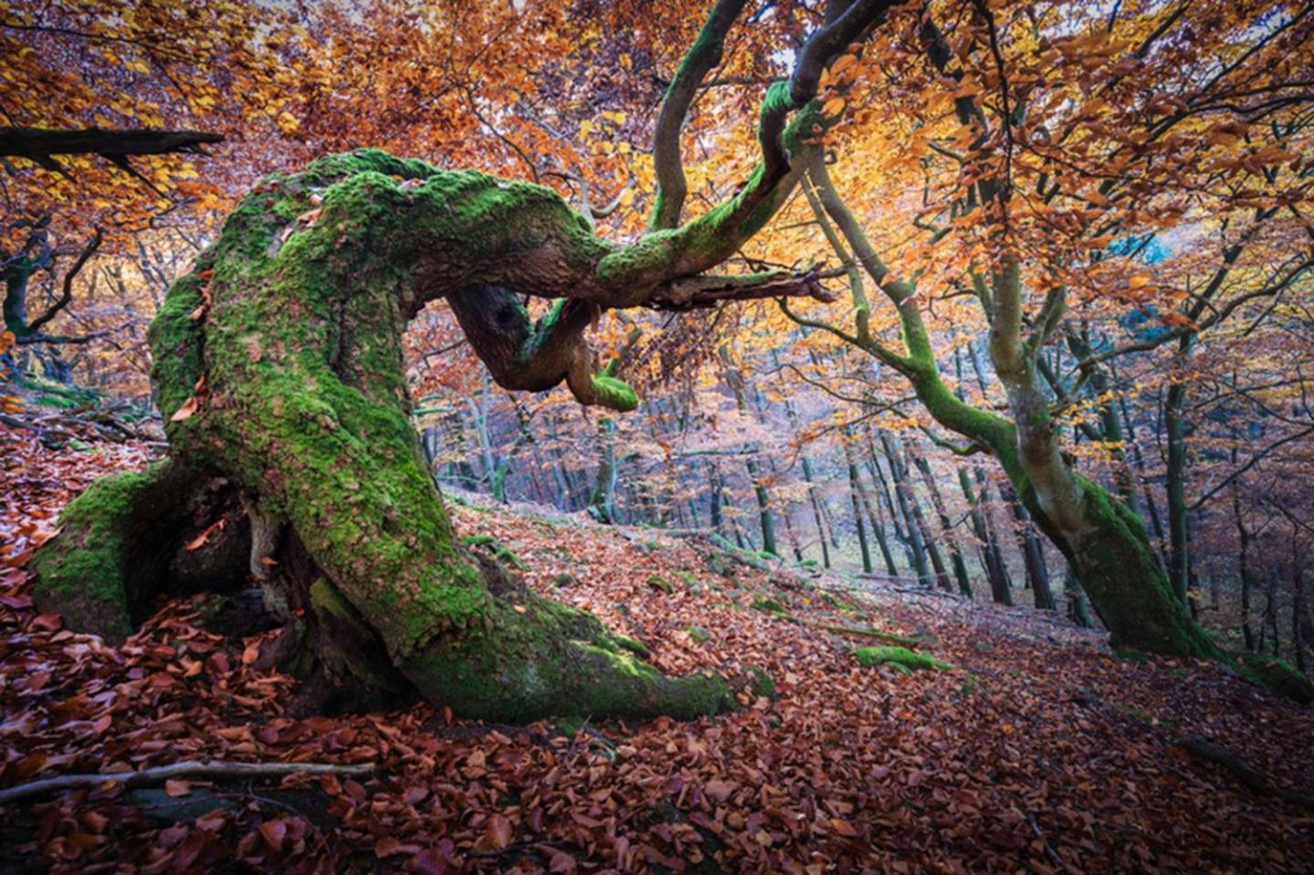 Frankenberg-am-Wald Frankenberg an der Eder