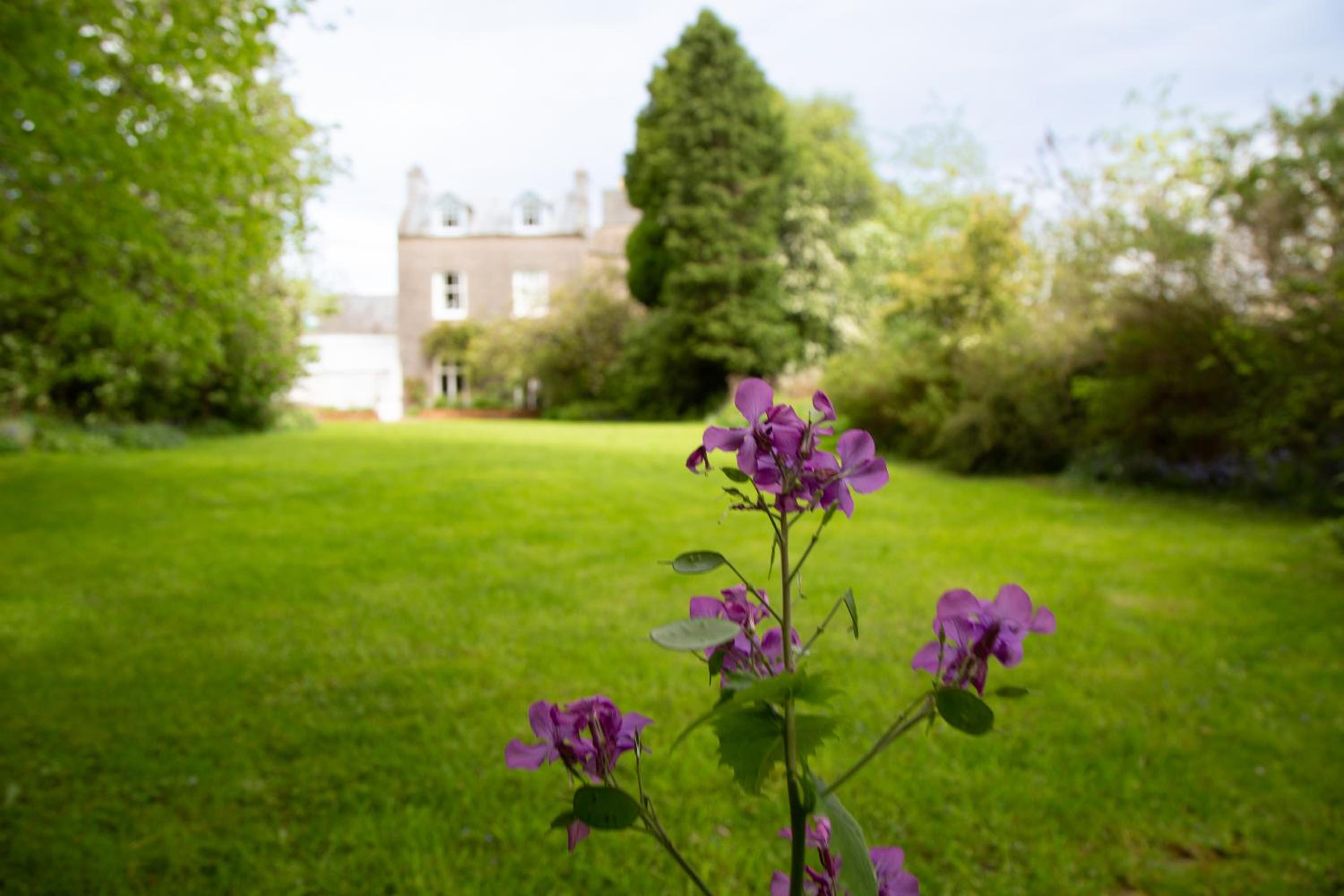 Redmayne House