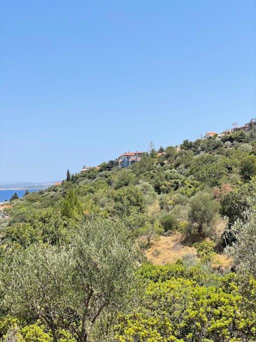 Villa Marisia