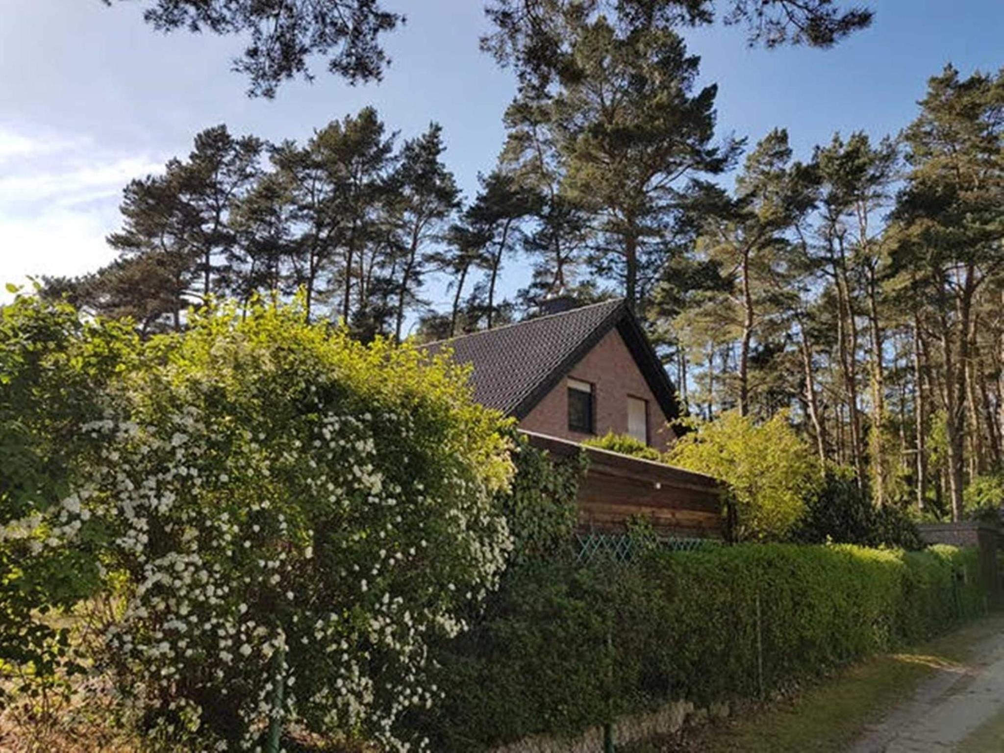 Ferienhaus am Dünenwald - DH