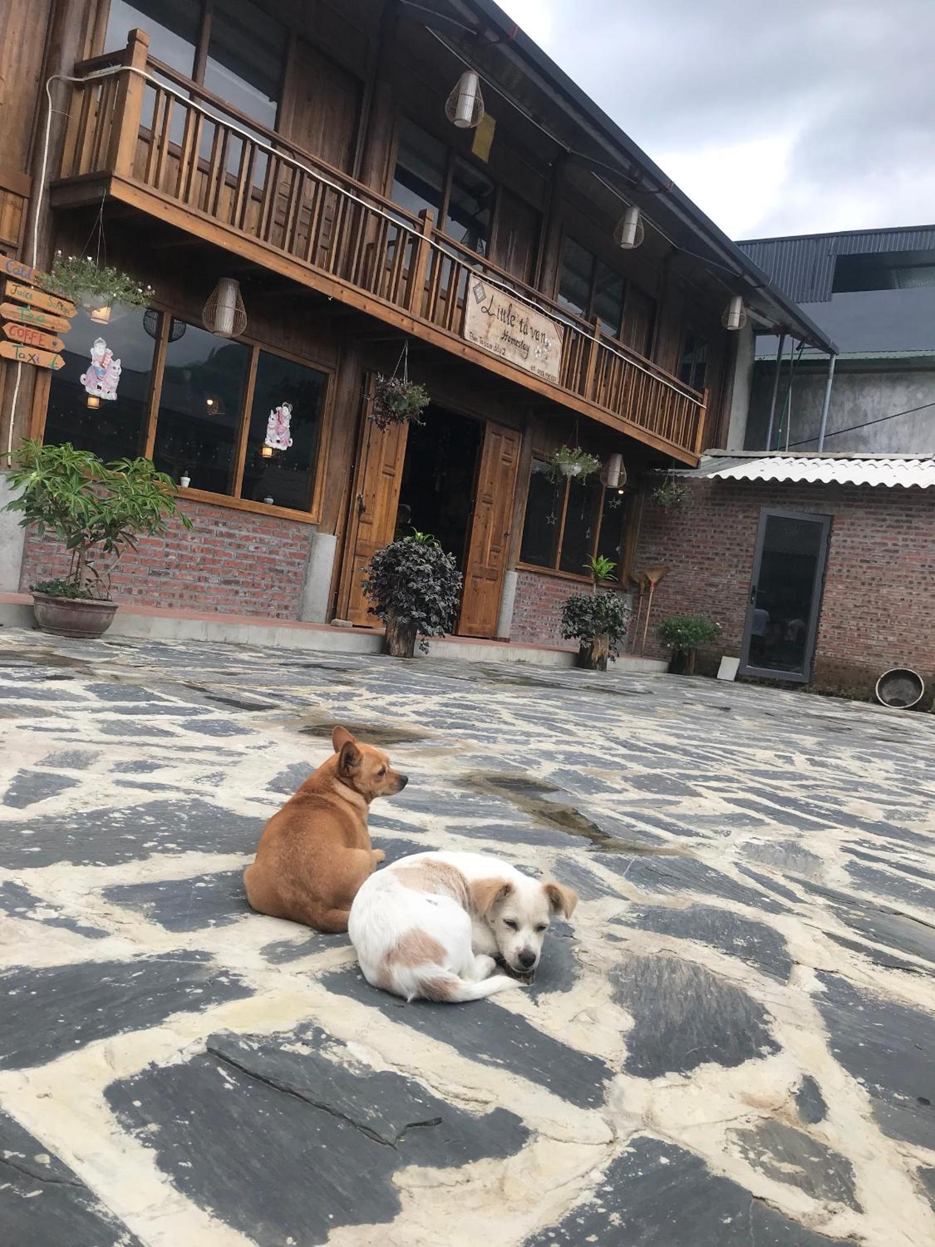 Little Ta Van Homestay view 4