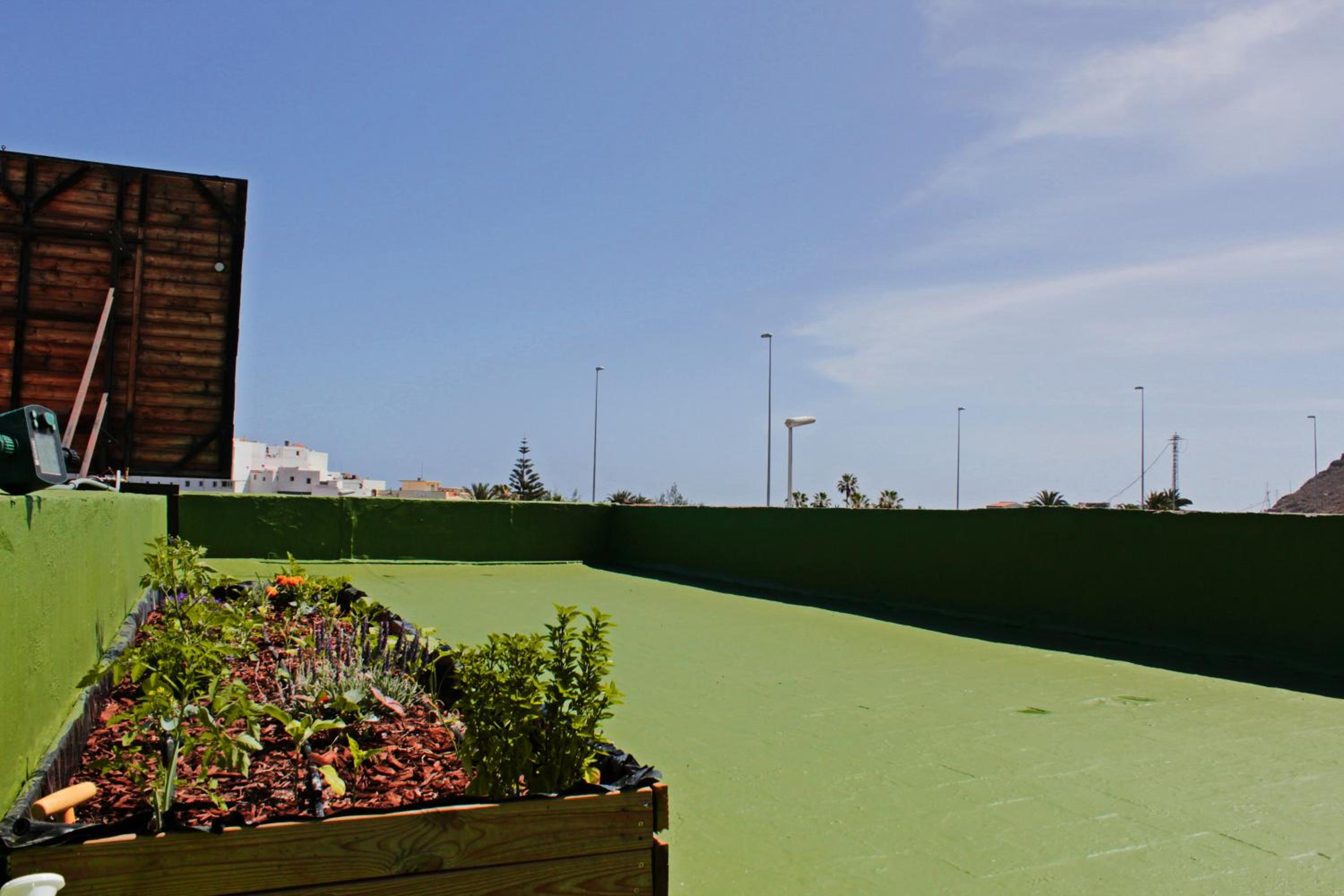 roof
