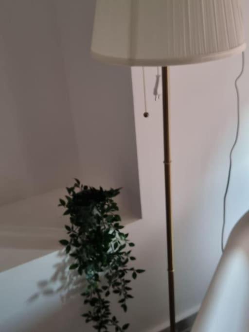 Blue Eden in Zadar Old Town Private Penthouse