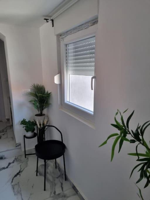 Blue Eden in Zadar Old Town Private Penthouse