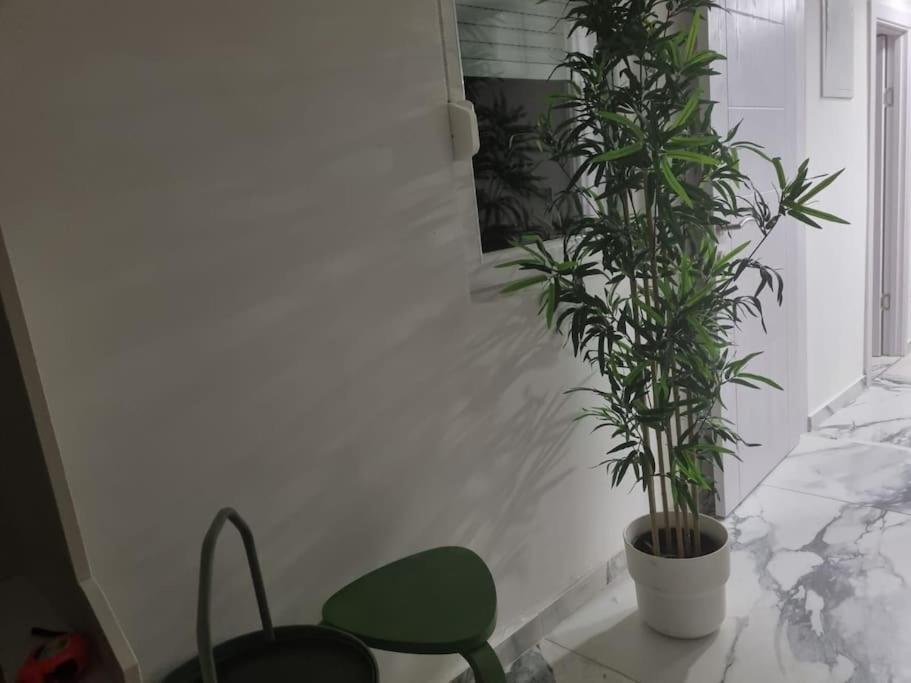 Blue Eden in Zadar Old Town Private Penthouse