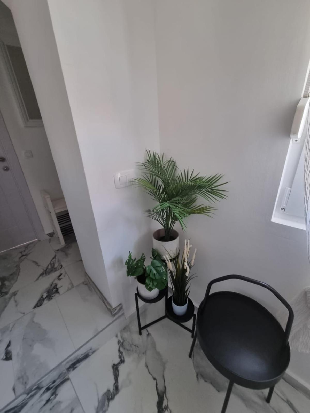 Blue Eden in Zadar Old Town Private Penthouse