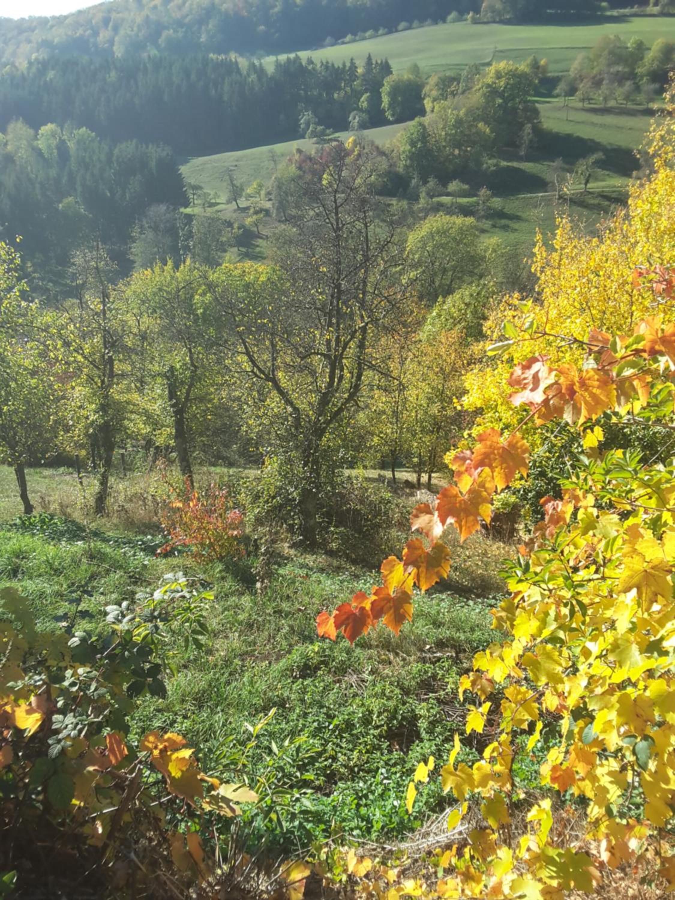Frankenberg-am-Wald Frankenberg an der Eder