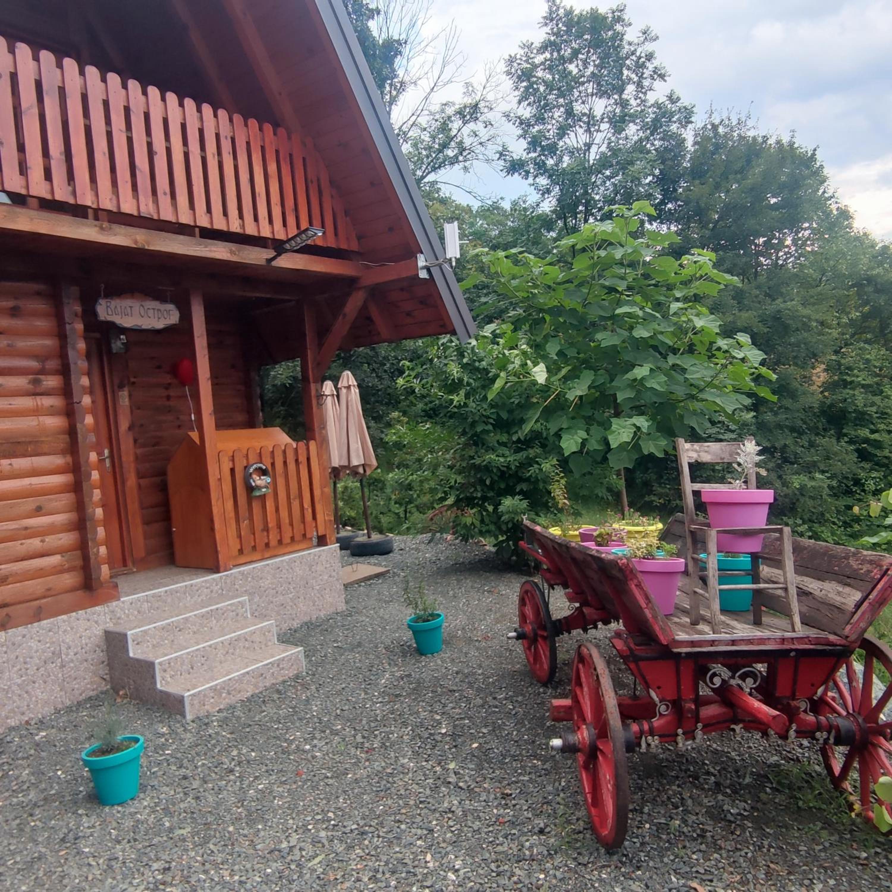 Seoski Turizam Feniks - apartman Ostrog