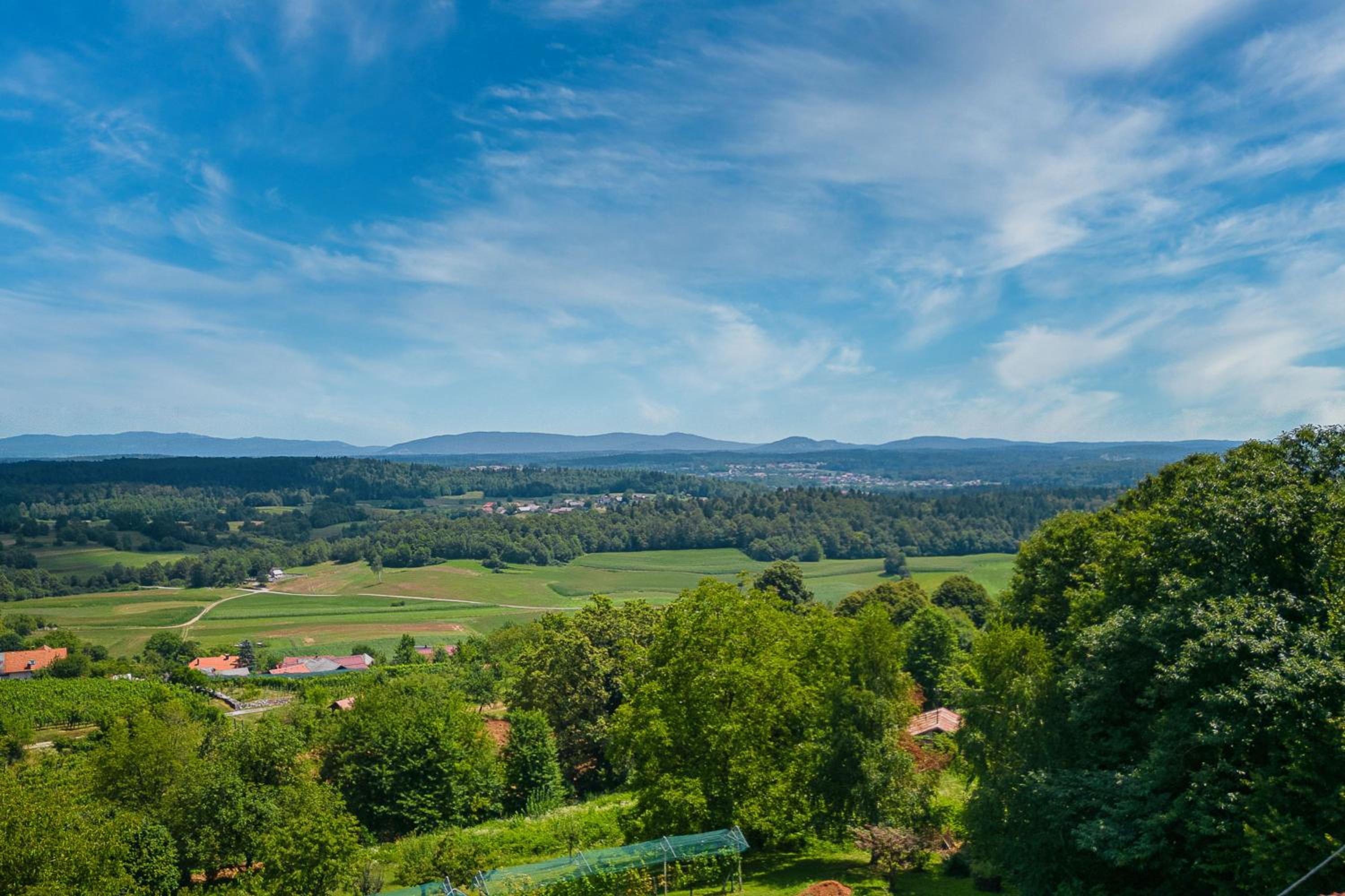 Vineyard Cottage Stepan - Happy Rentals