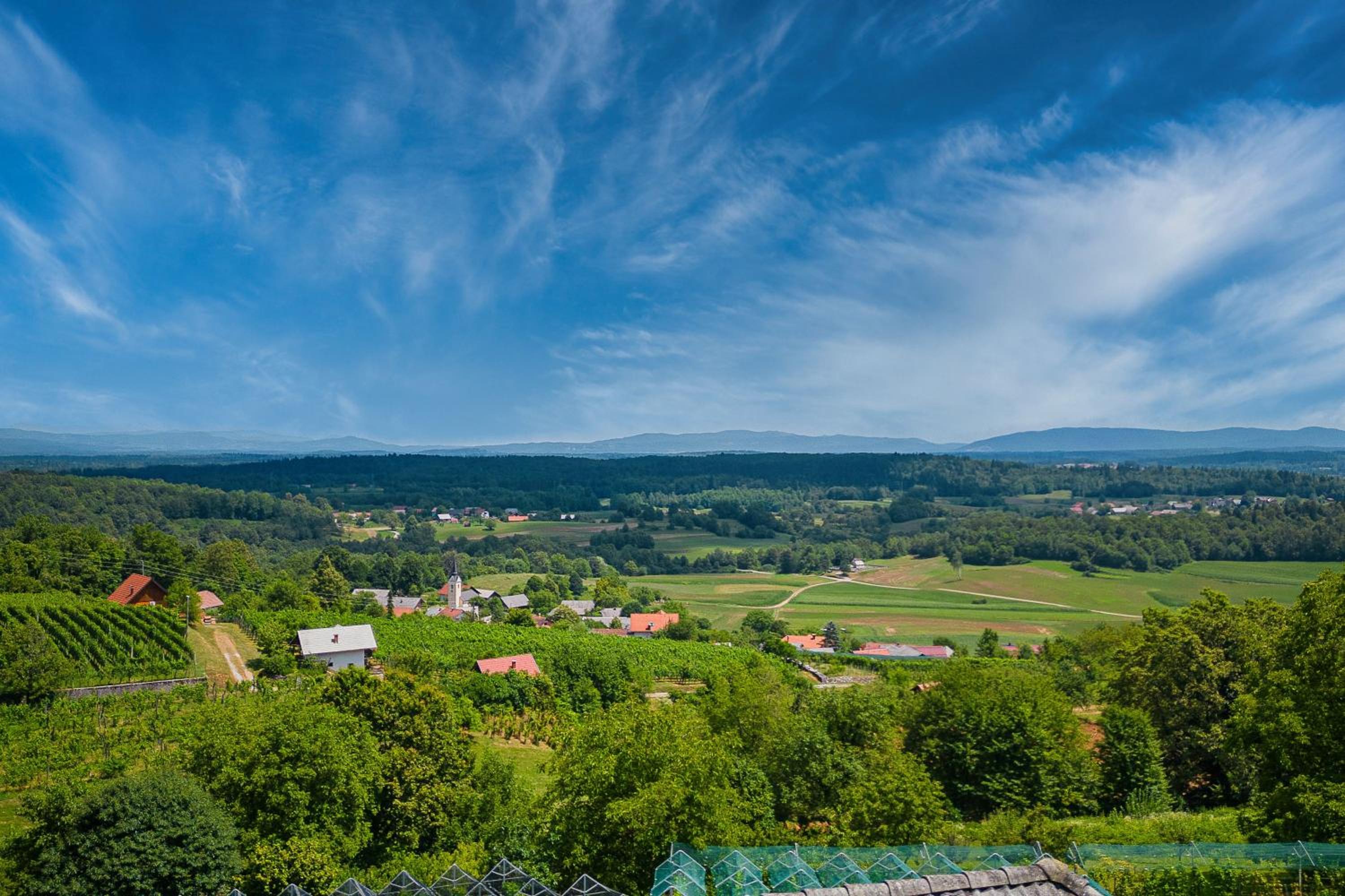 Vineyard Cottage Stepan - Happy Rentals