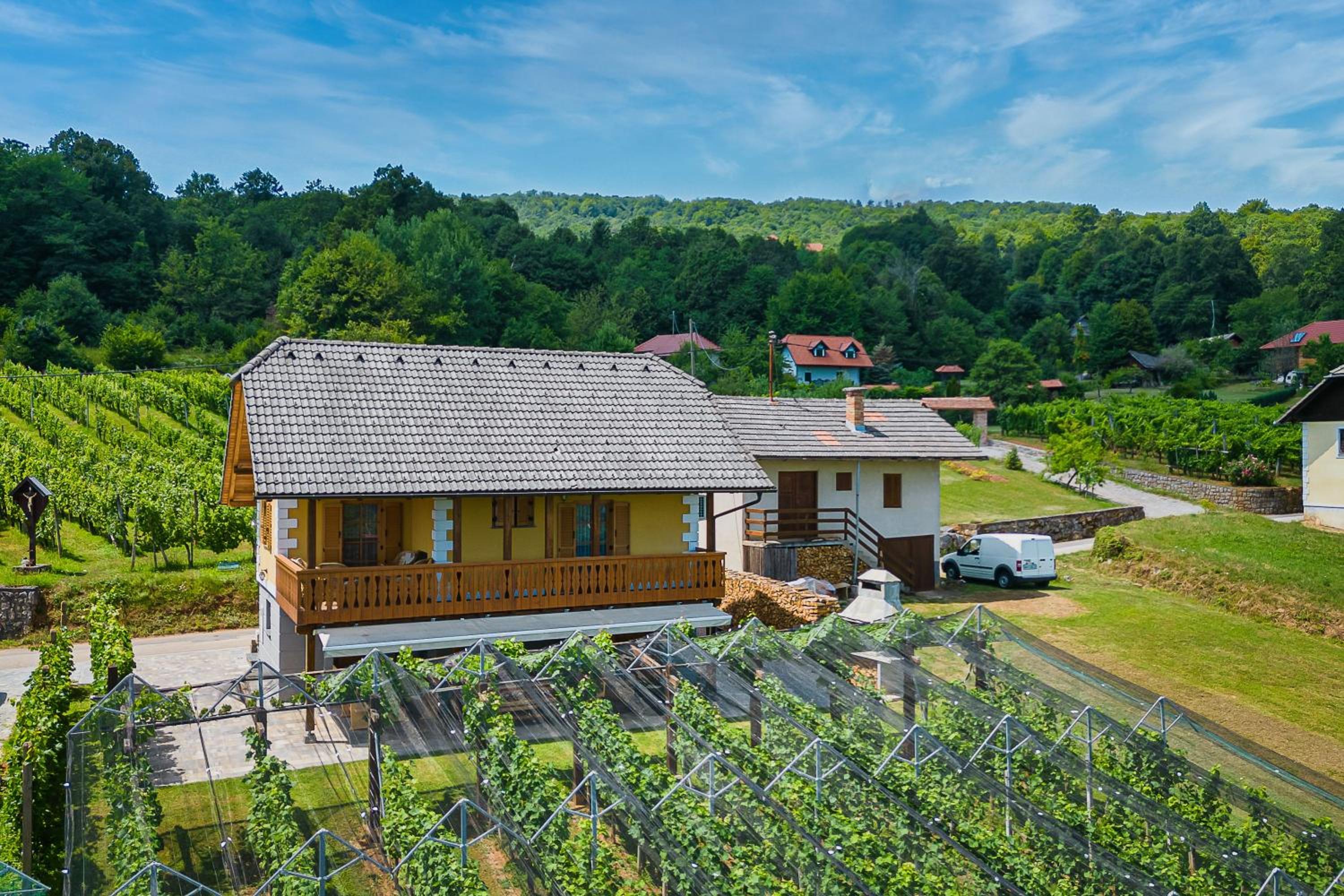 Vineyard Cottage Stepan - Happy Rentals
