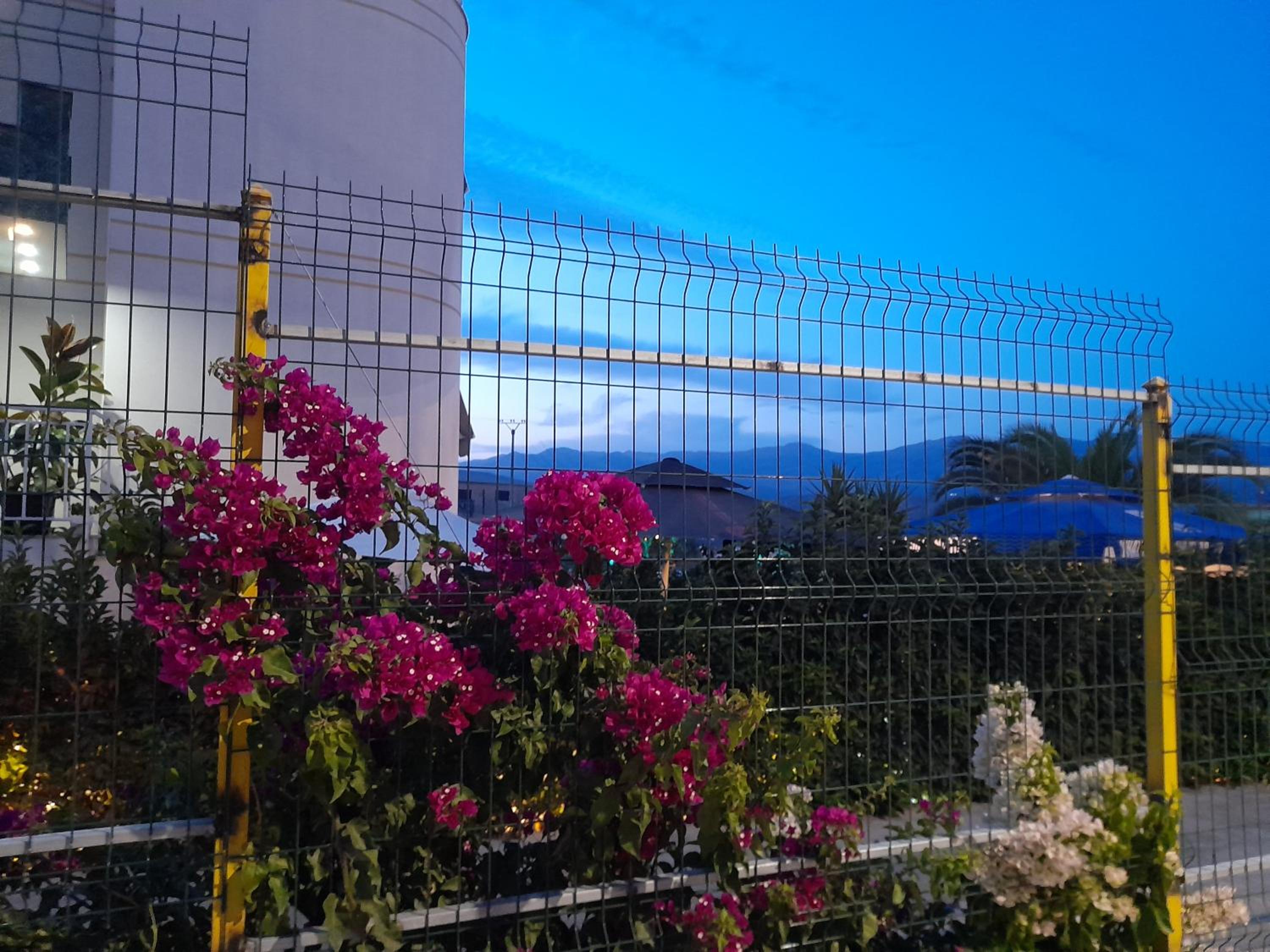 Vila Marjana