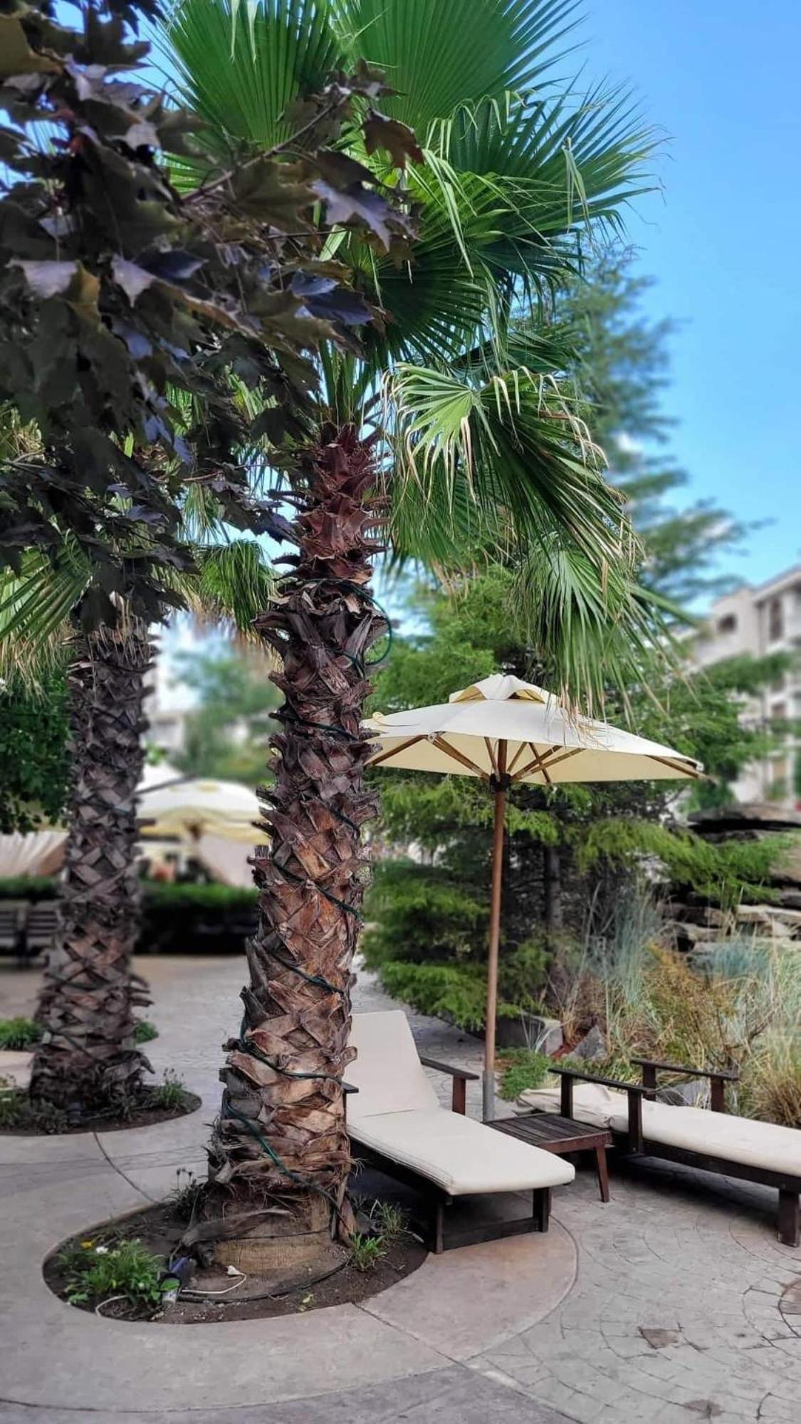 Deluxe Appartements in Cascadas Family Resort Sunny Beach
