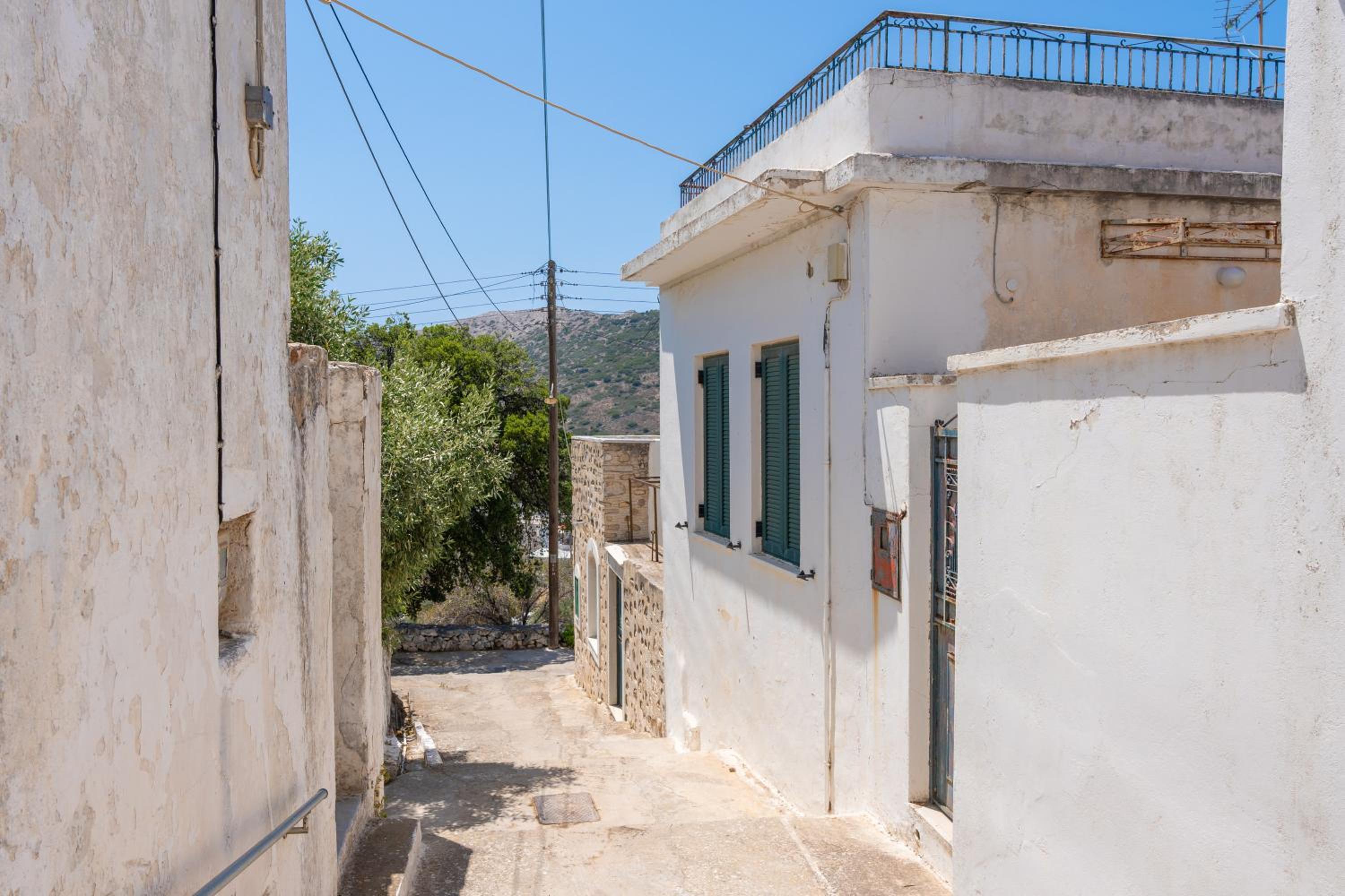 Zeus House