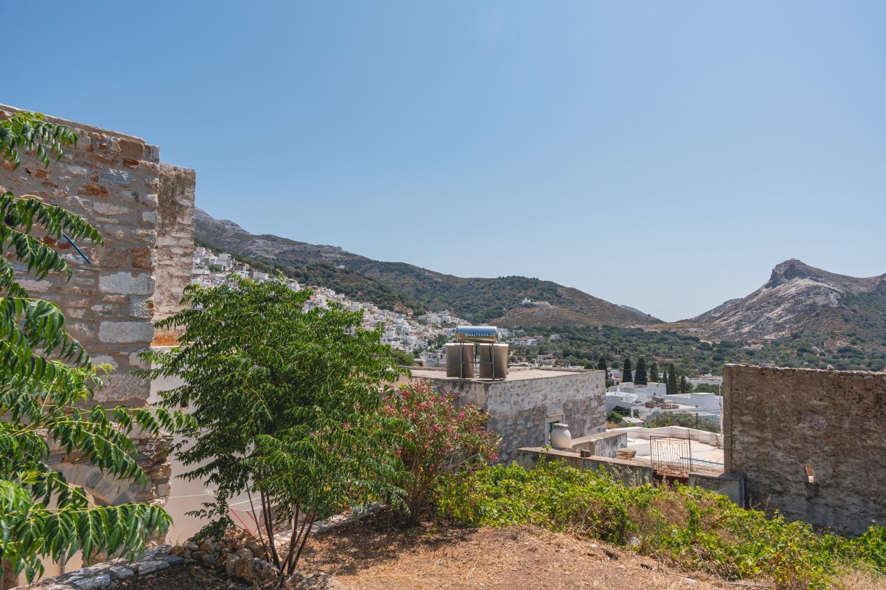 Zeus House