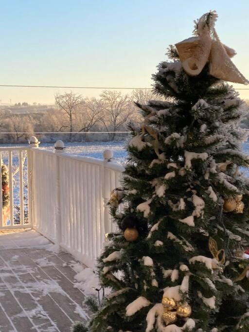 Antiquity Rose Retreat-2nd Floor Spacious and Private Apartment