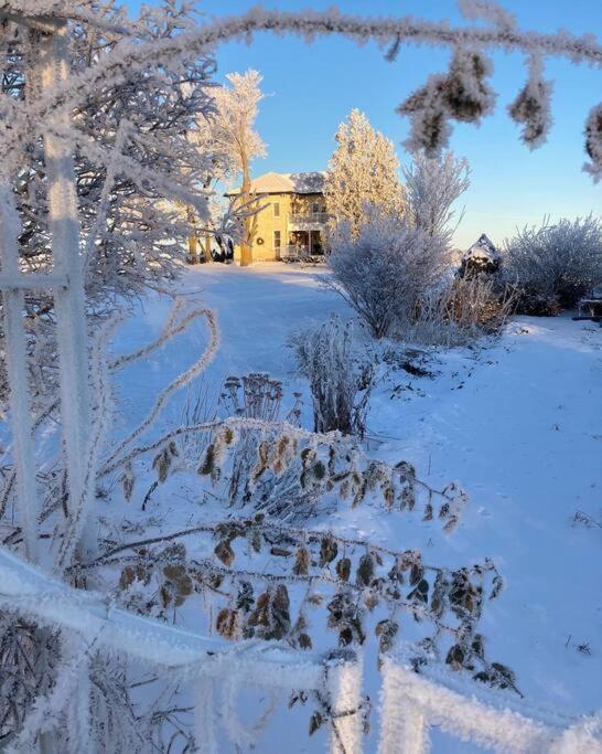 Antiquity Rose Retreat-2nd Floor Spacious and Private Apartment