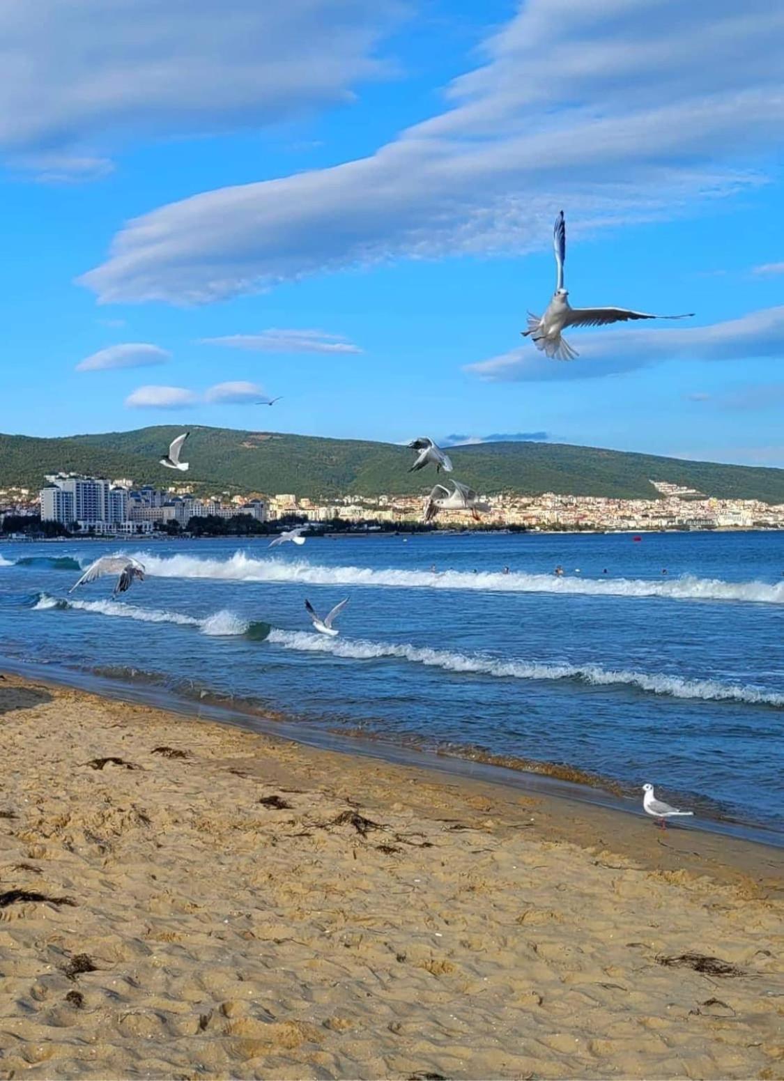 Wonderful Deluxe Appartement in Cascadas Family Resort Sunny Beach