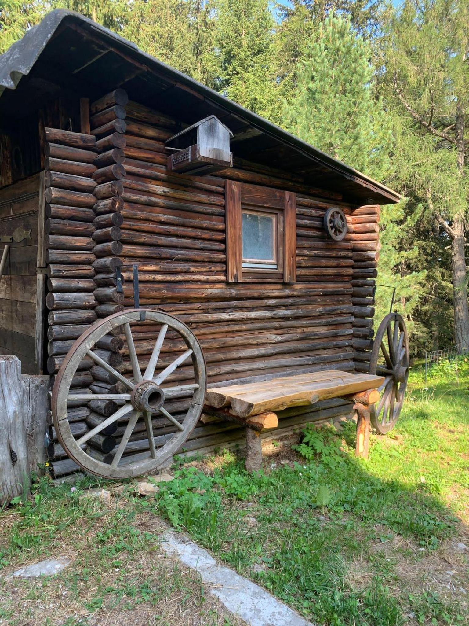 Ferienwohnung Zirbenzapfen - Auszeit in den Seetaler Alpen