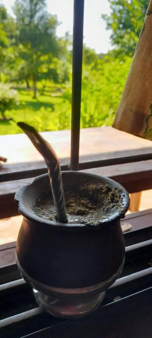 Latidos de Misiones