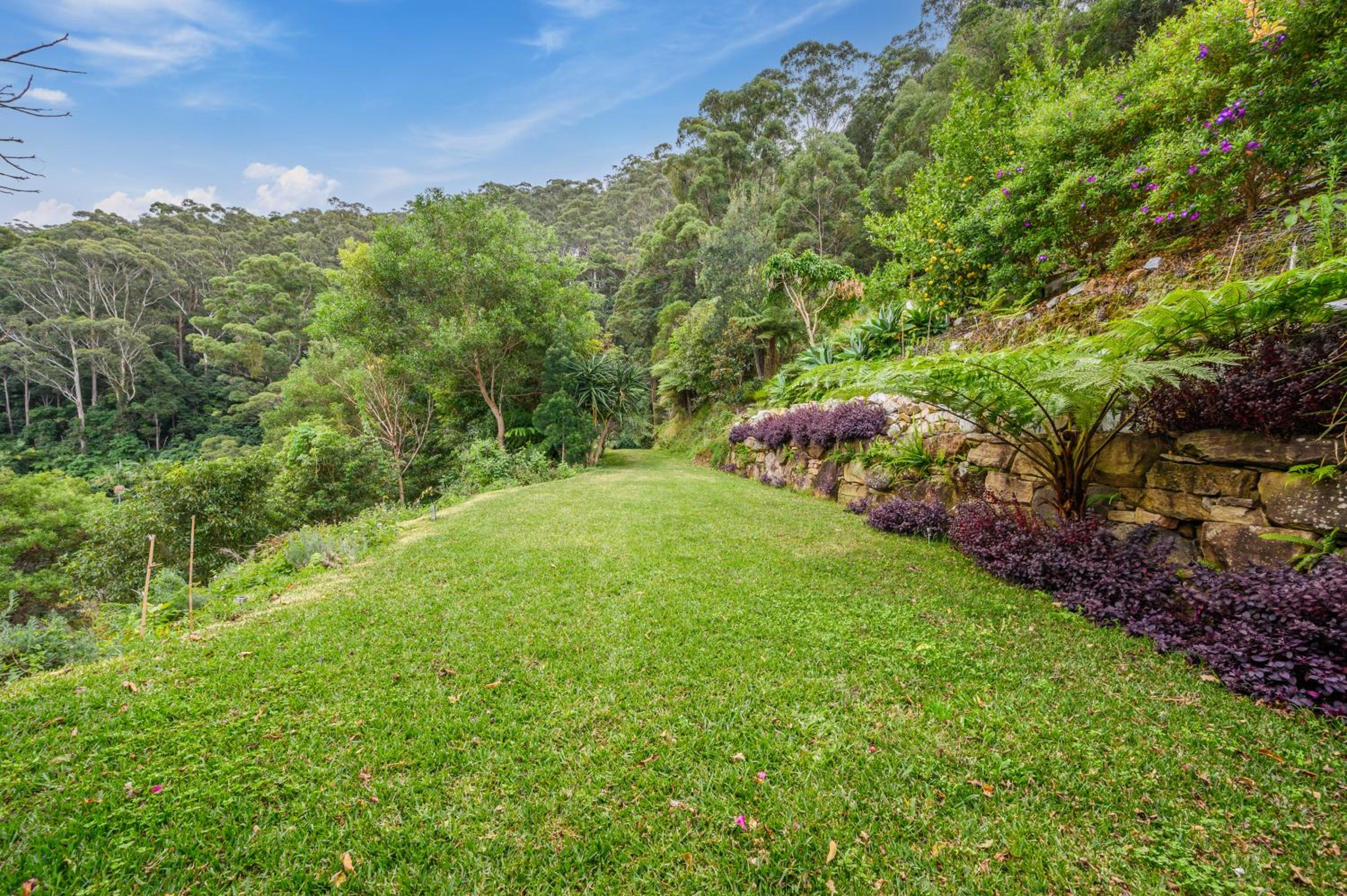 Tranquil Treetop Haven 3BR House with breathtaking views