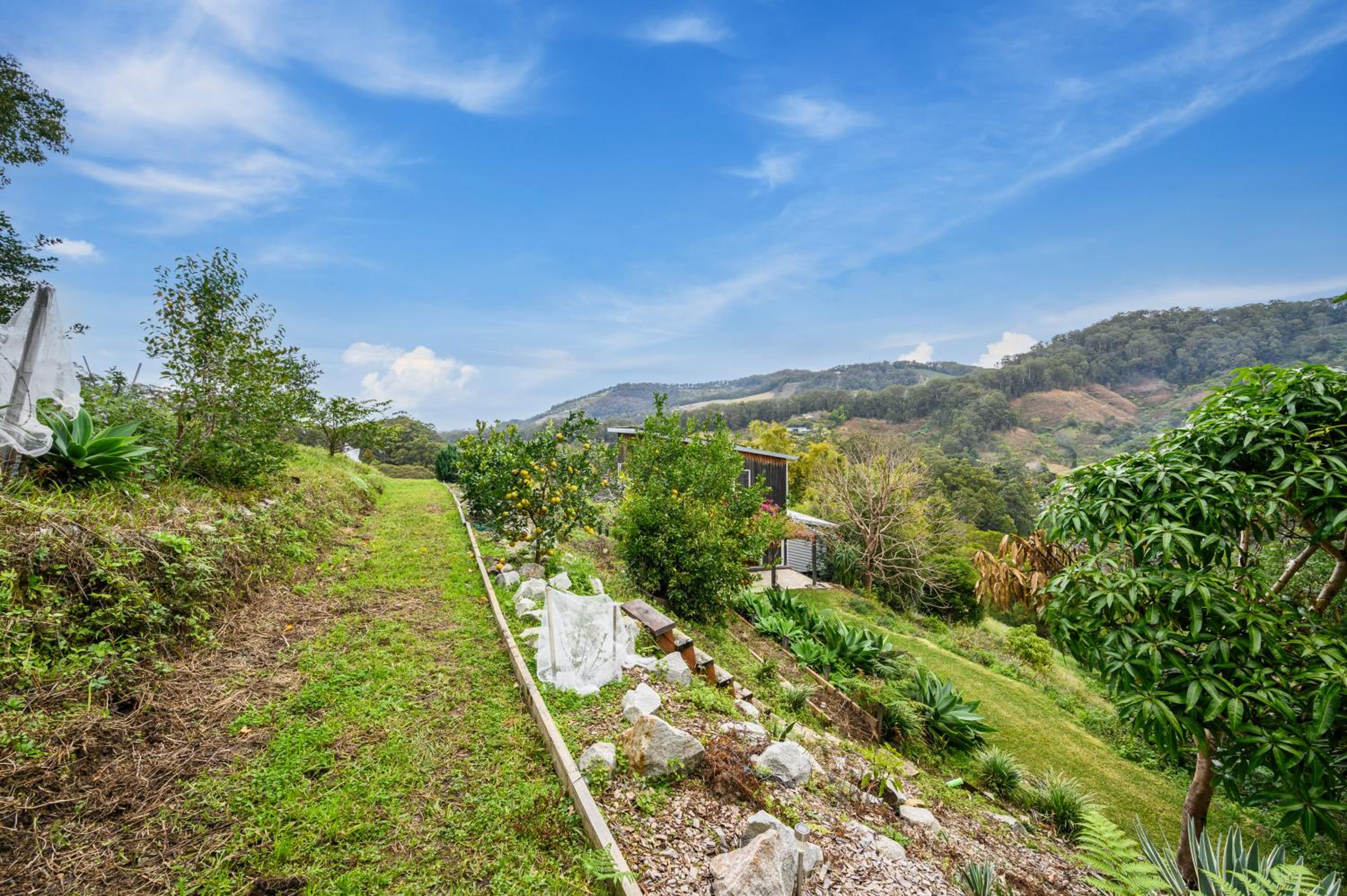 Tranquil Treetop Haven 3BR House with breathtaking views