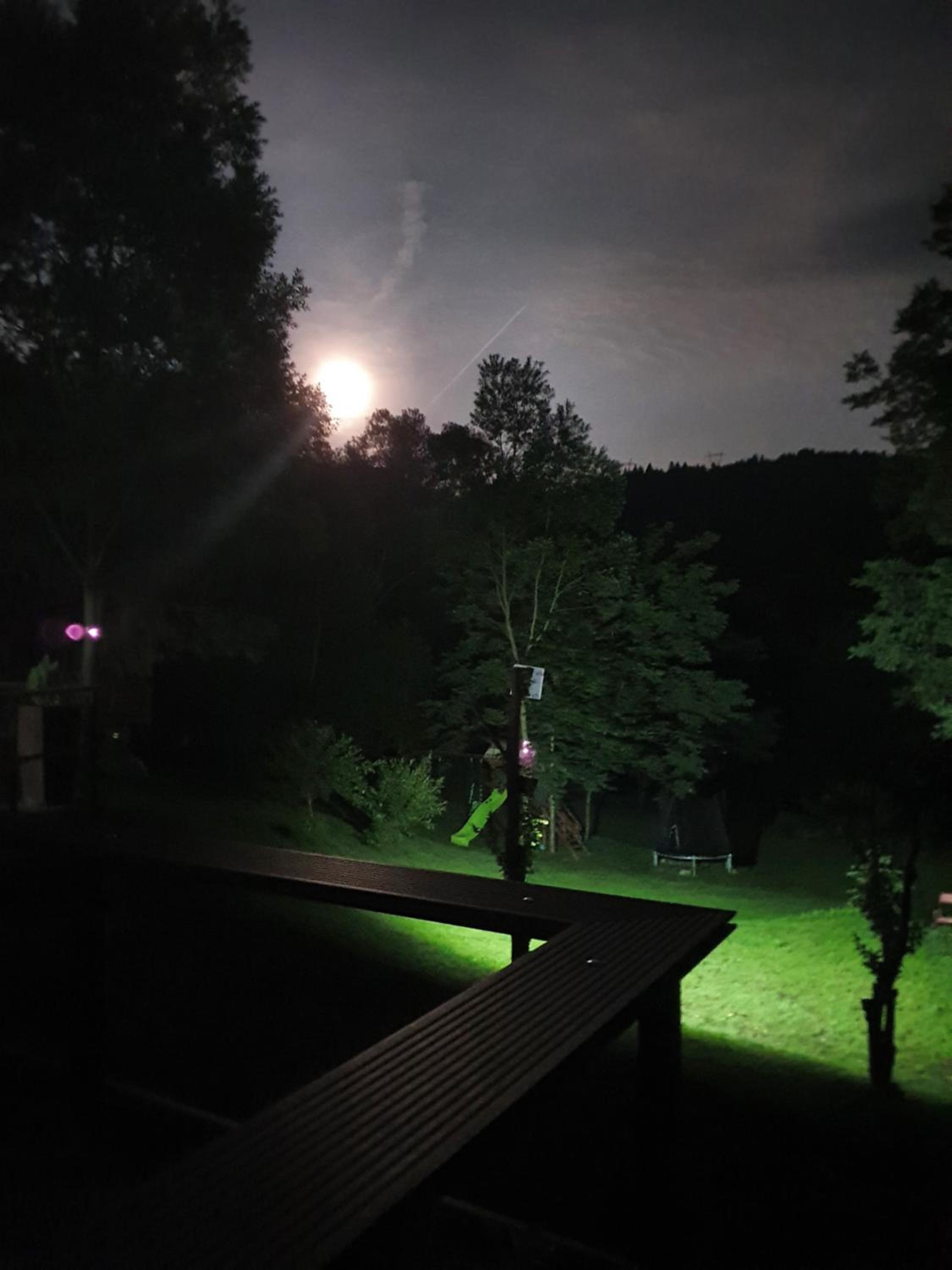 Forest House Doftana