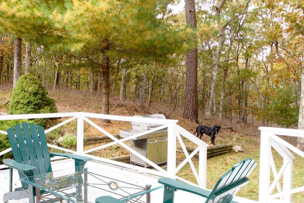 Private Home near Ocean Beaches, Nature Preserve view 4