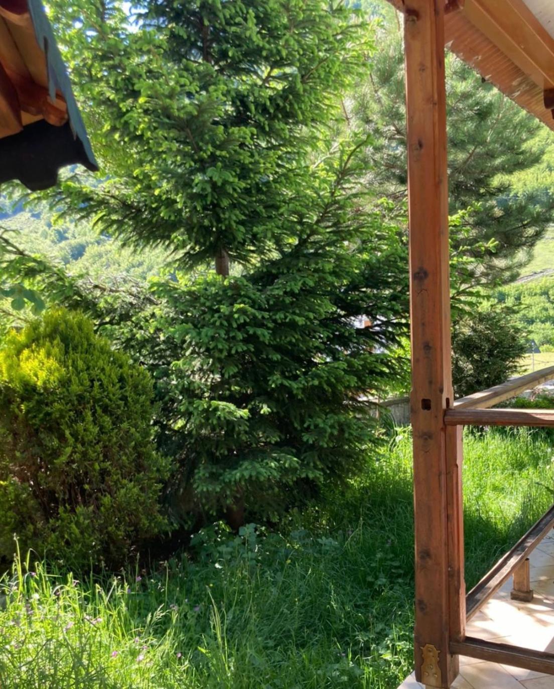 Paja Guesthouse - Camping