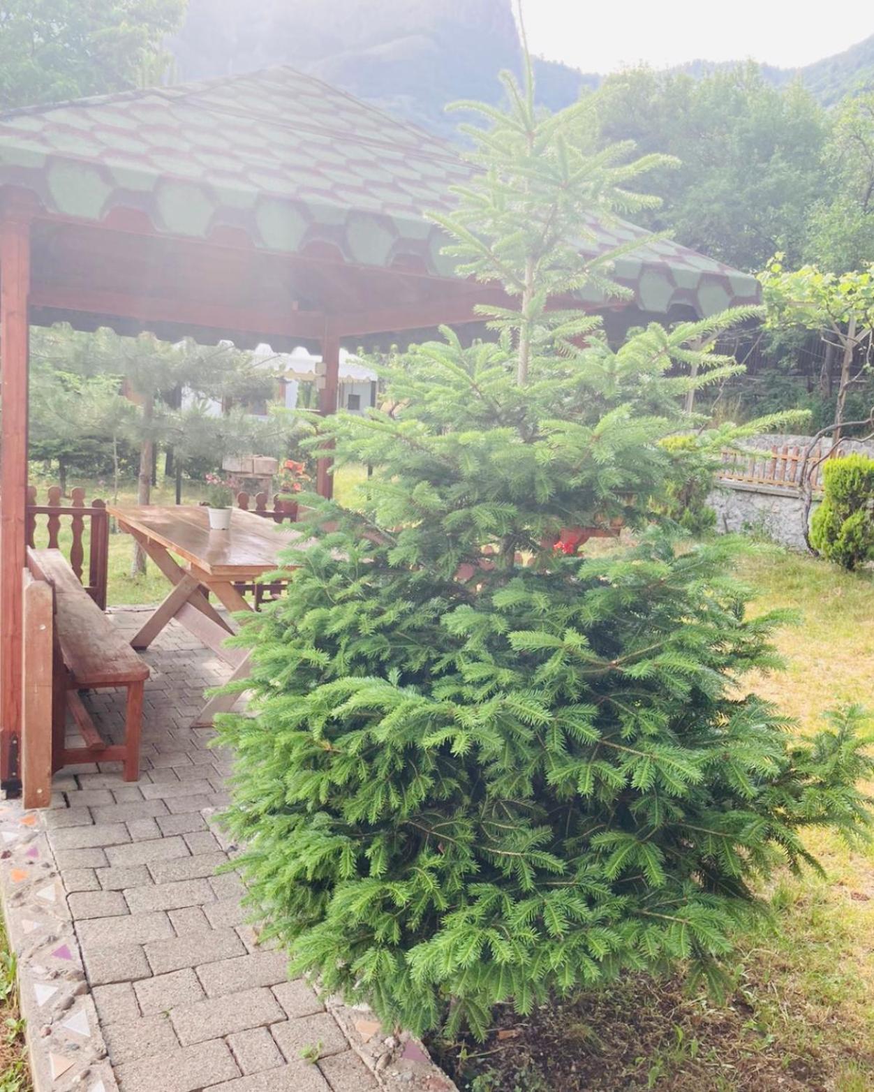 Paja Guesthouse - Camping