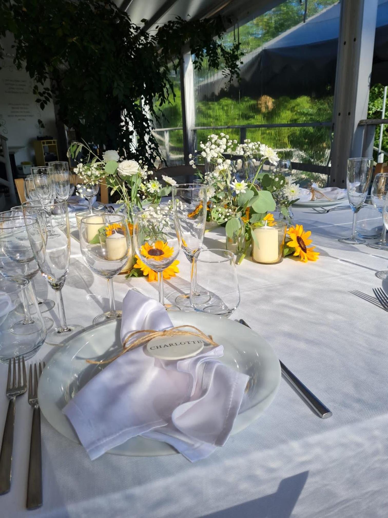 Agriturismo Villa Le Vigne