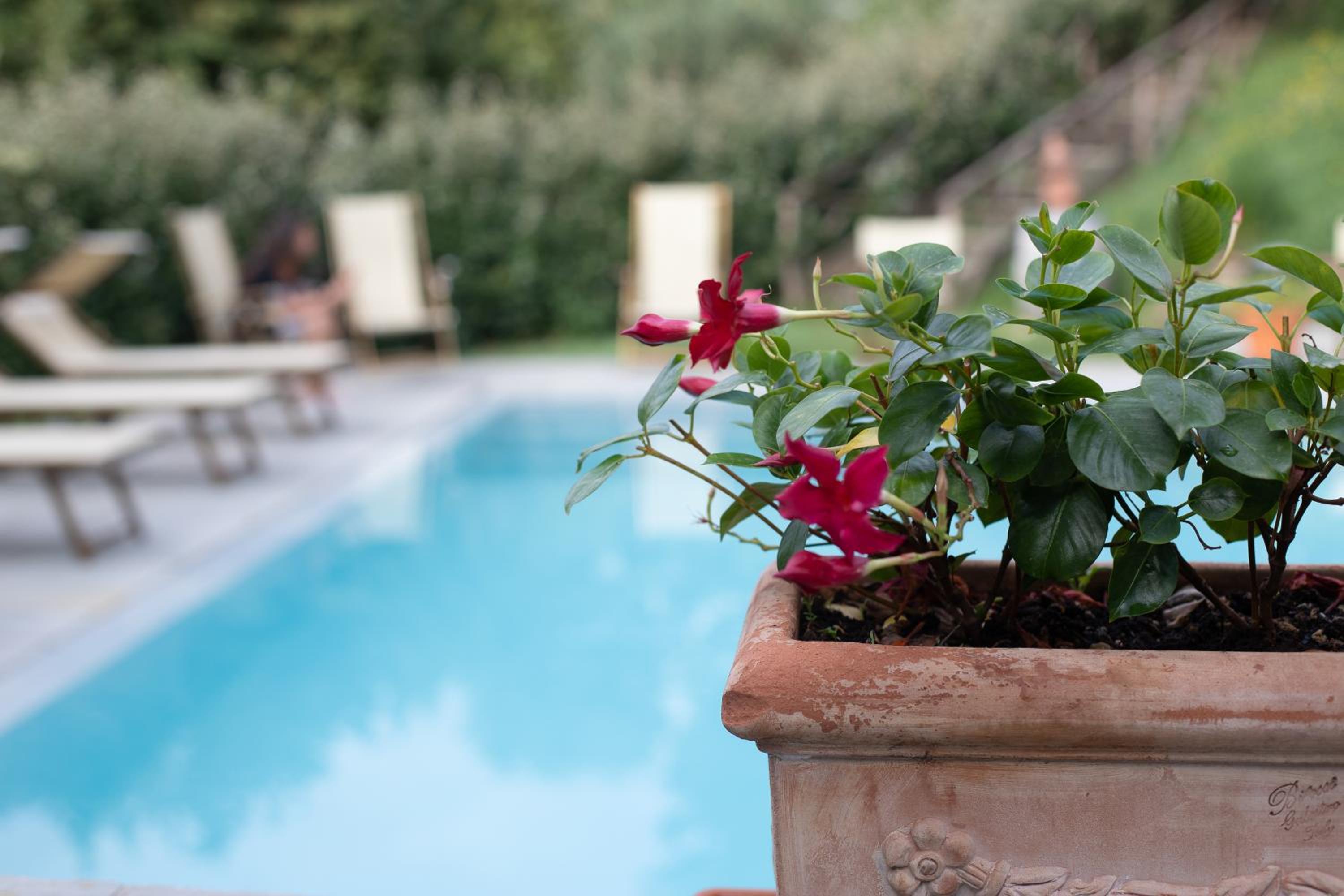 Agriturismo Villa Le Vigne
