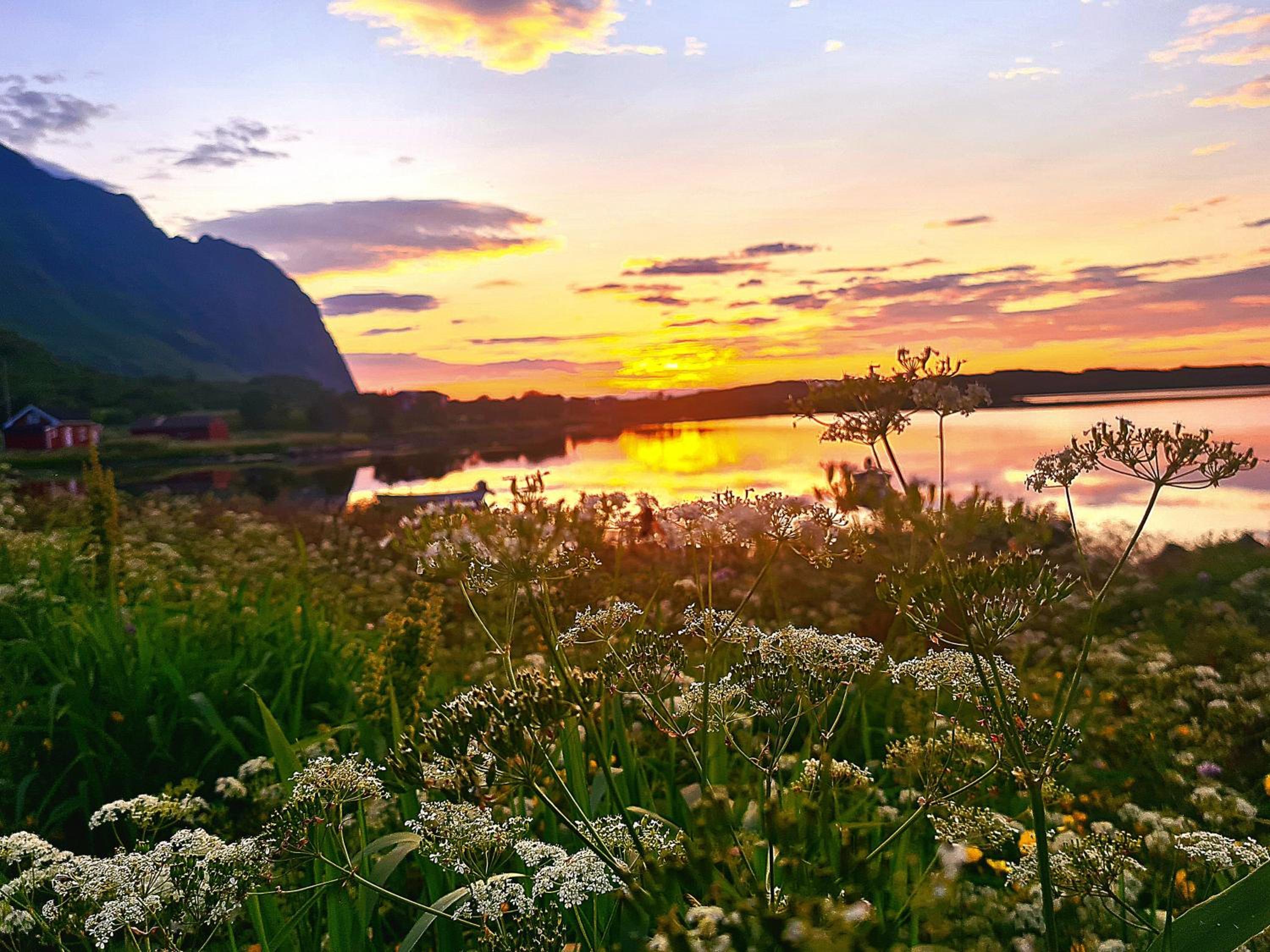 Lite hus ved sjøen view 3