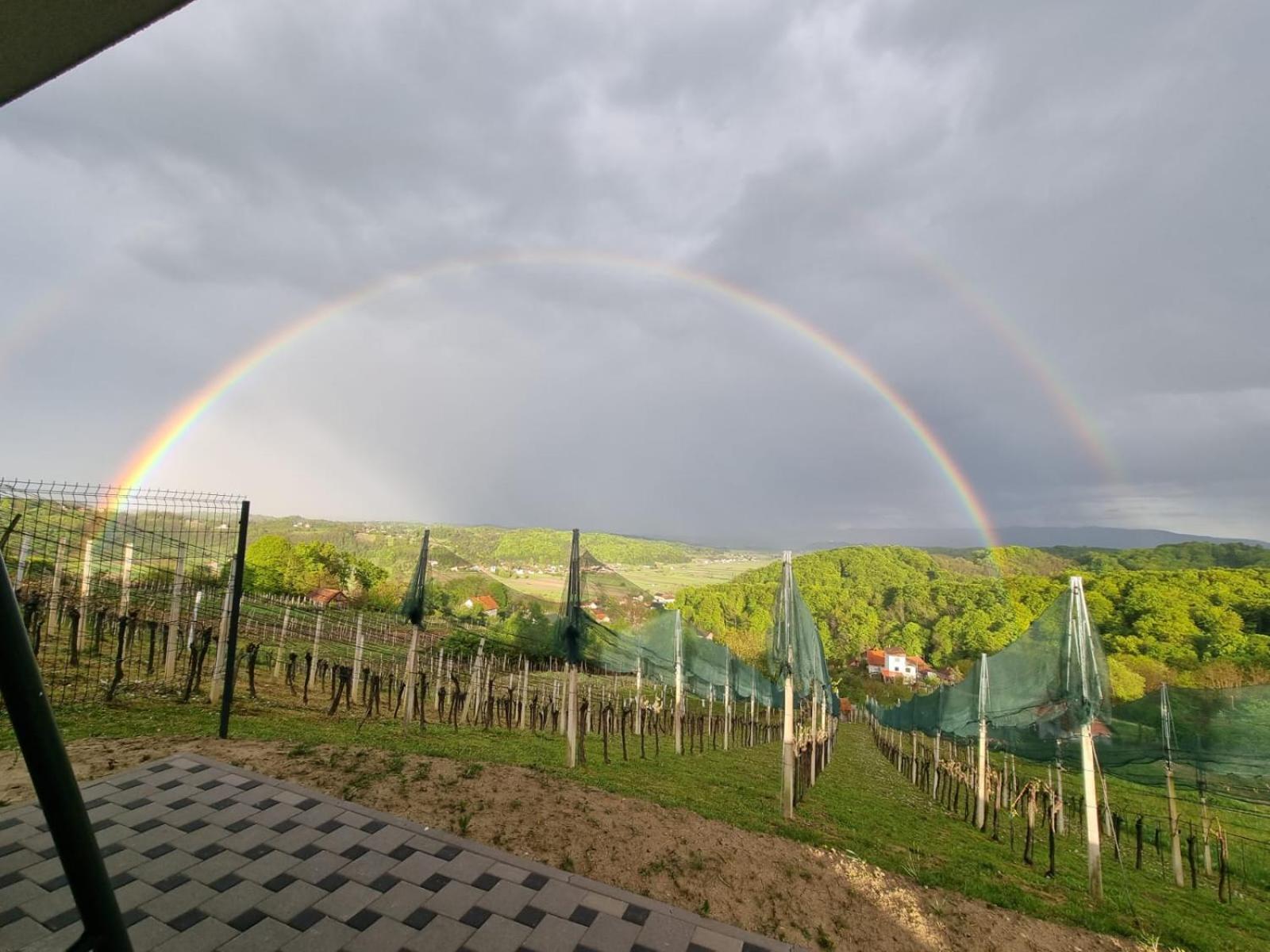 View&Wine view 4