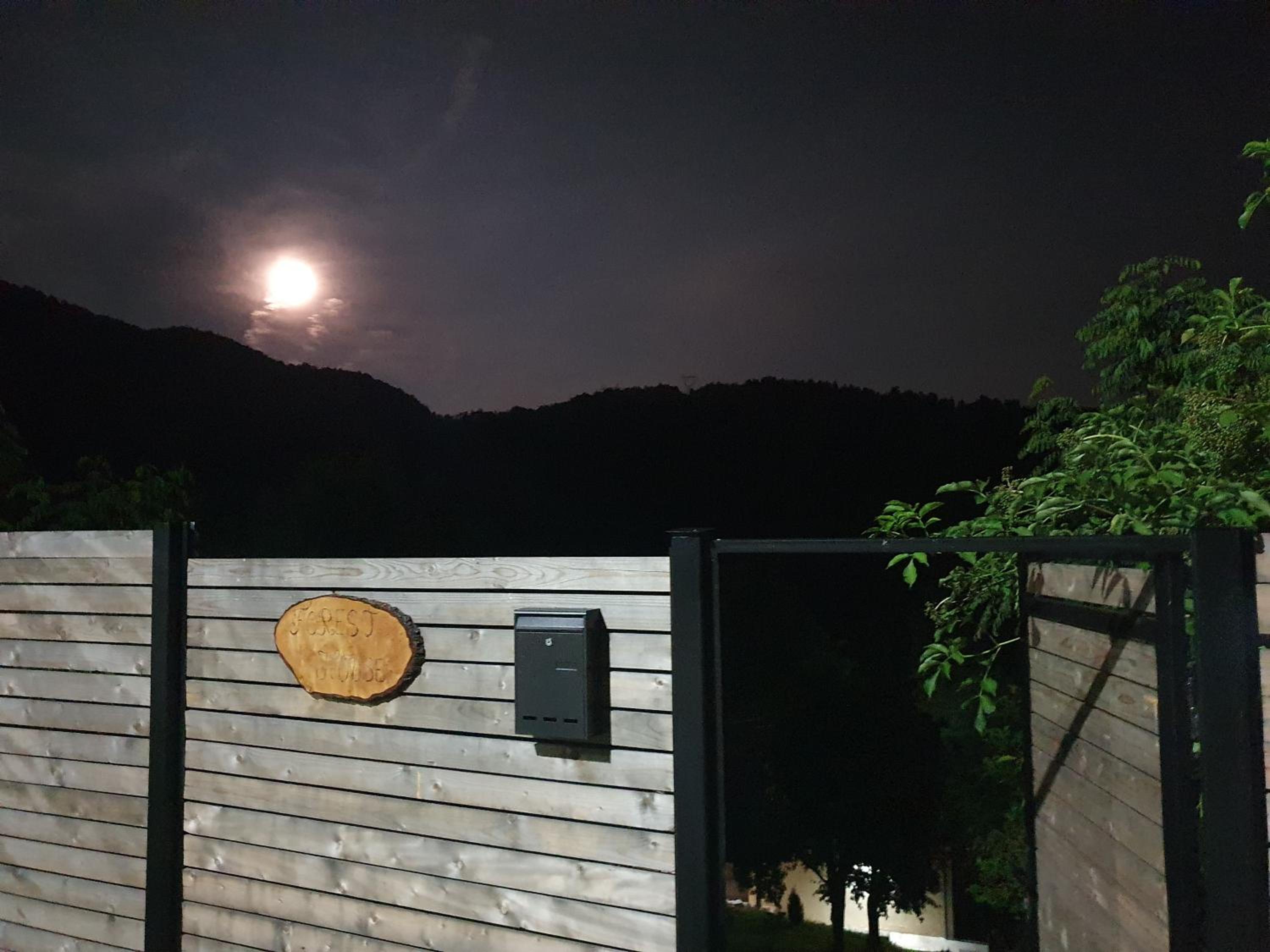 Forest House Doftana