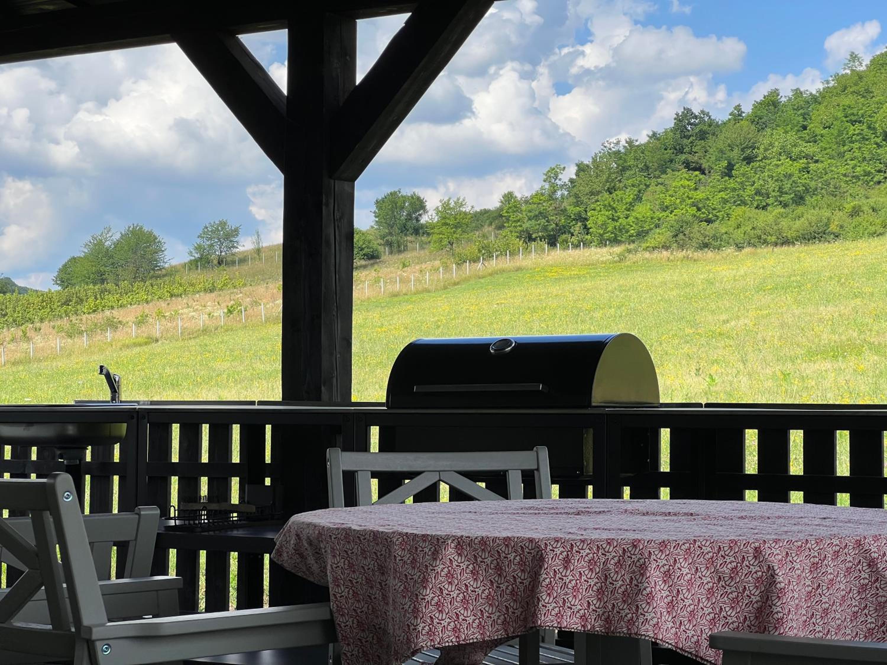 arra housing near Bistrita view 2