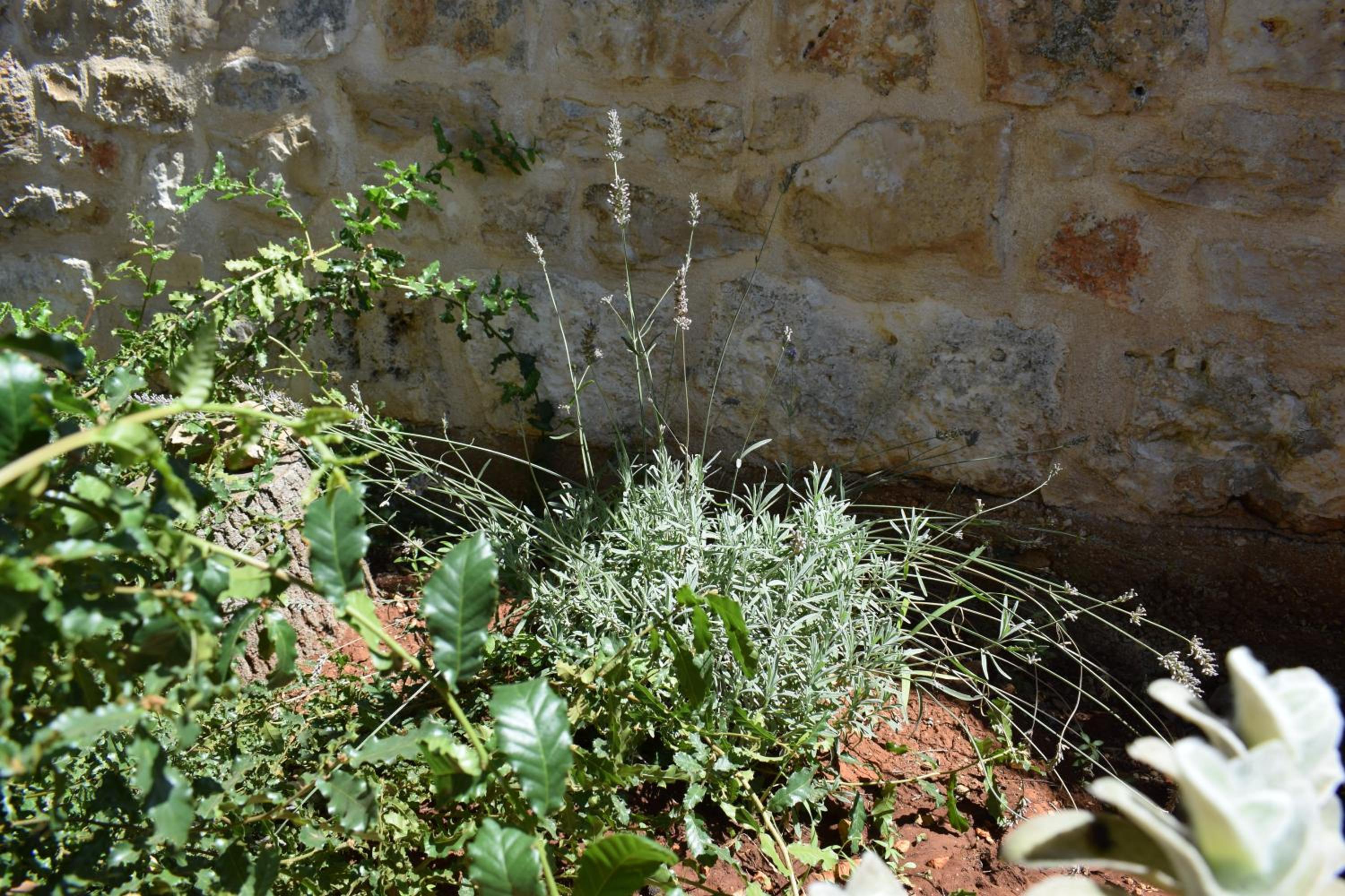 Photo 47